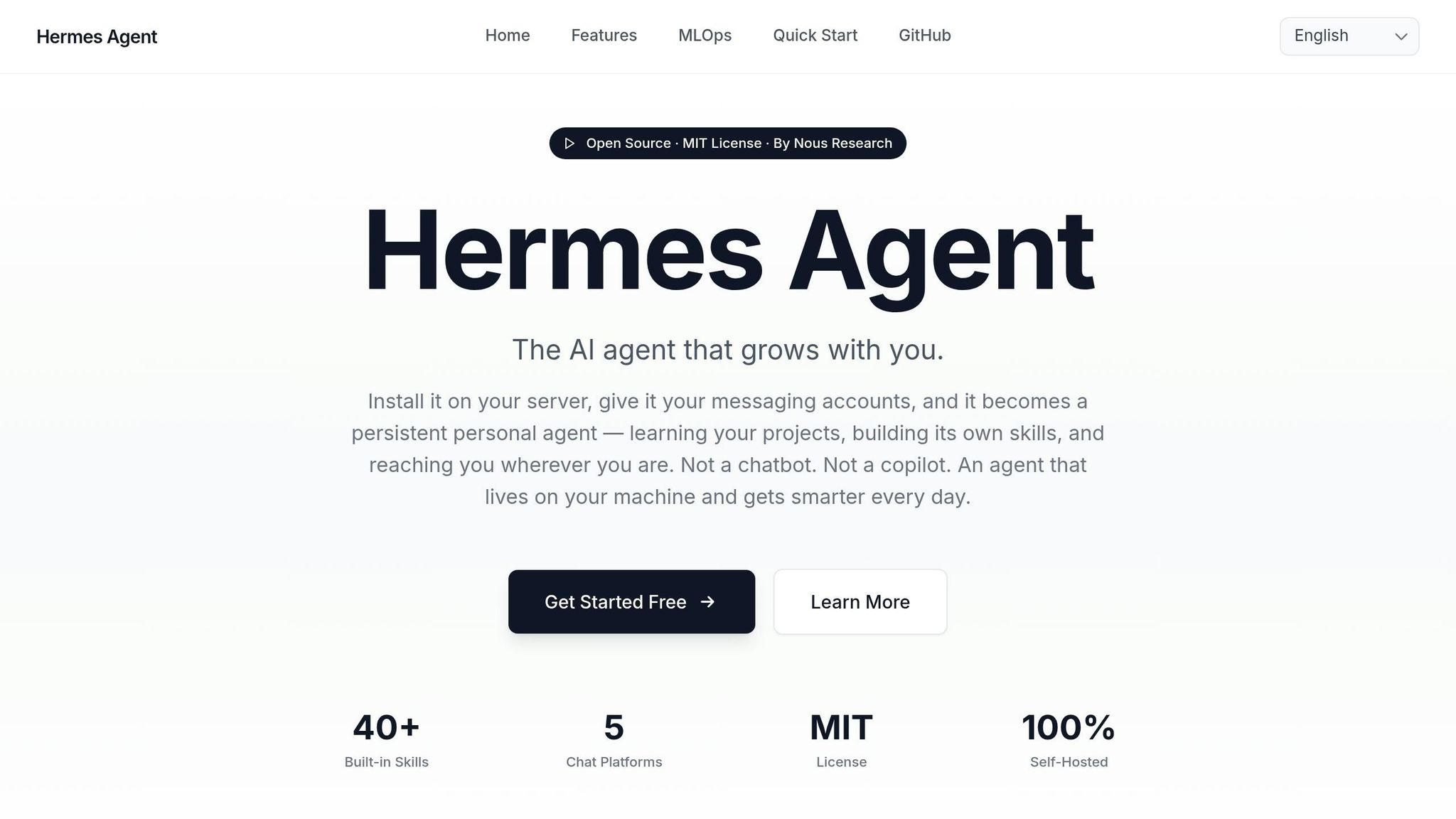 Hermes Agent