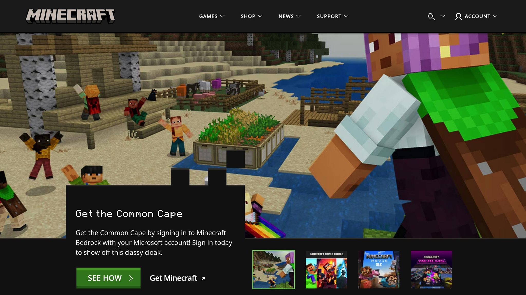 Minecraft
