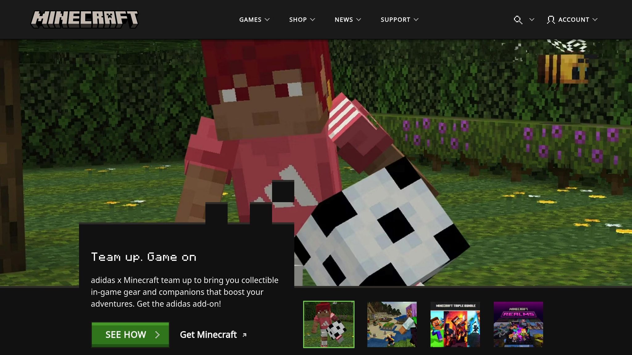Minecraft