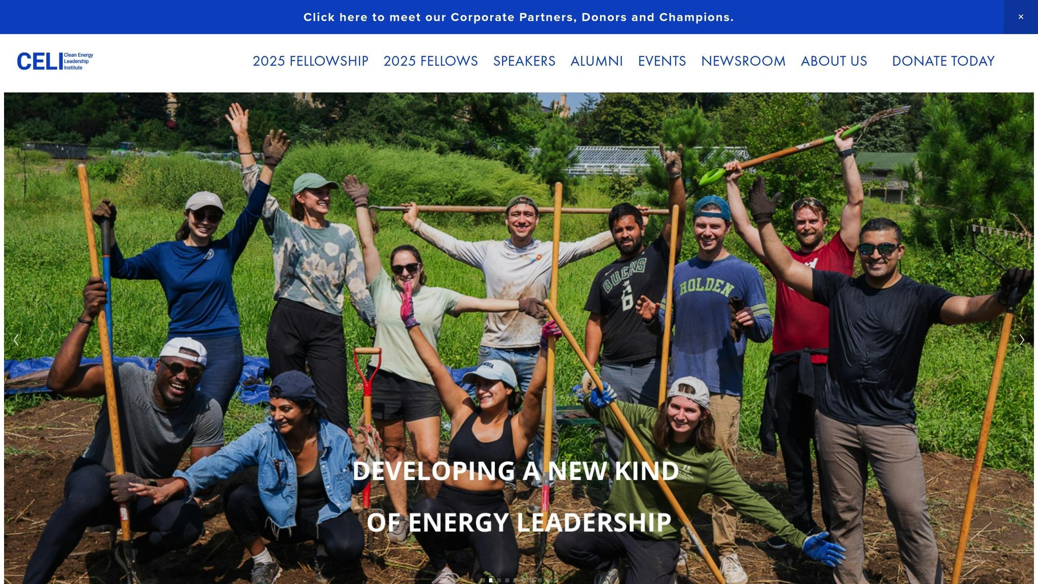 Clean Energy Leadership Institute