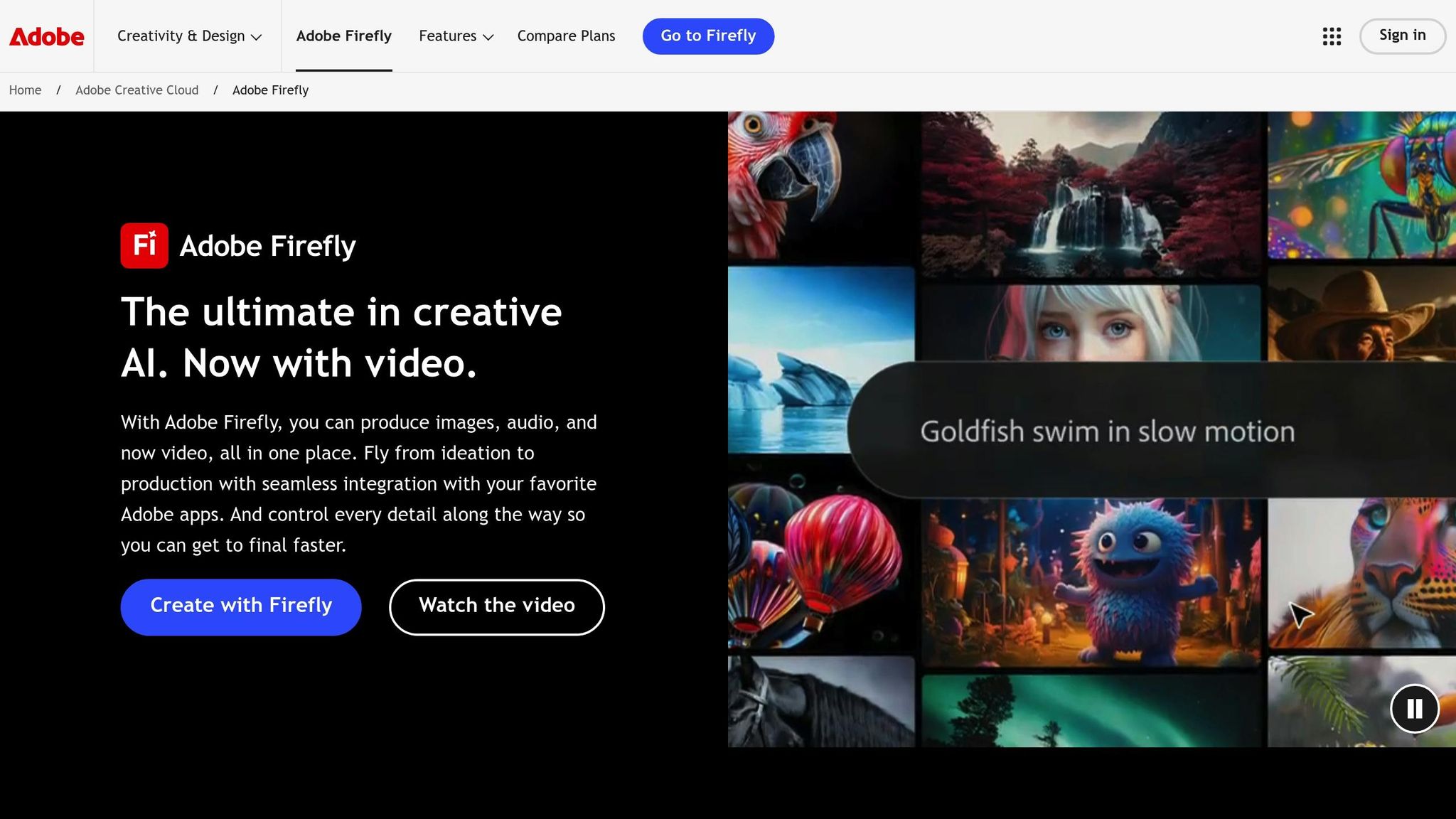Adobe Firefly
