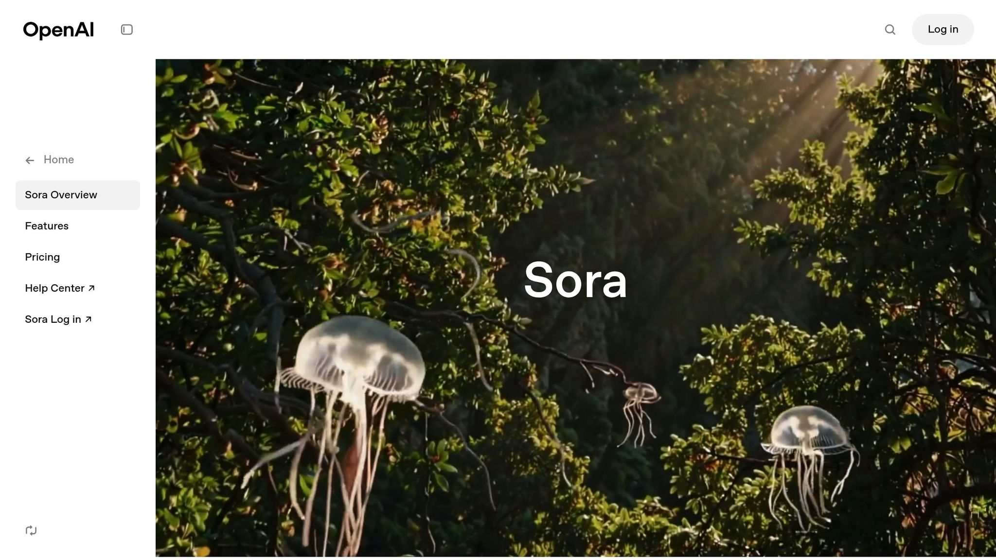 Sora
