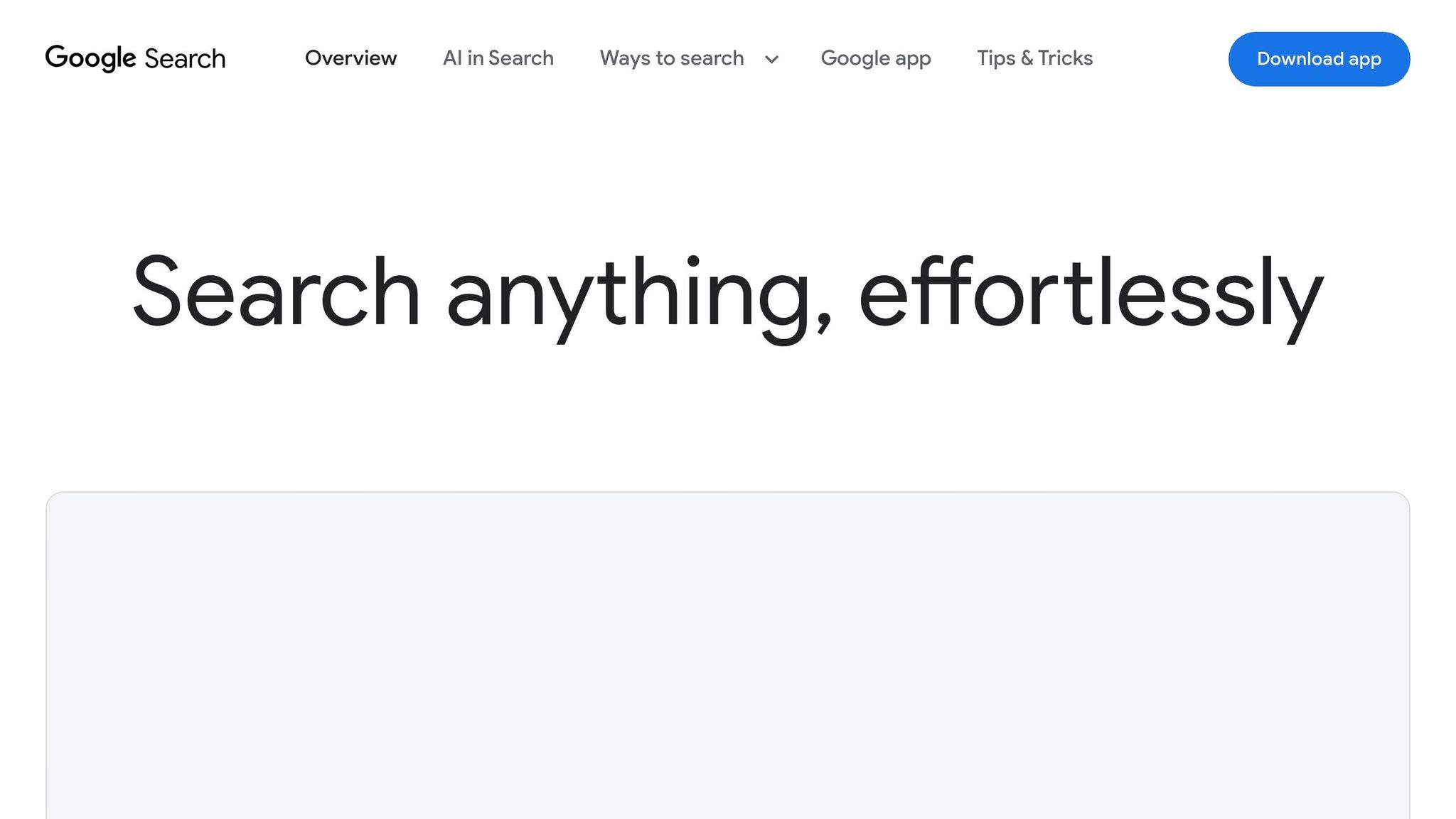 Google Search