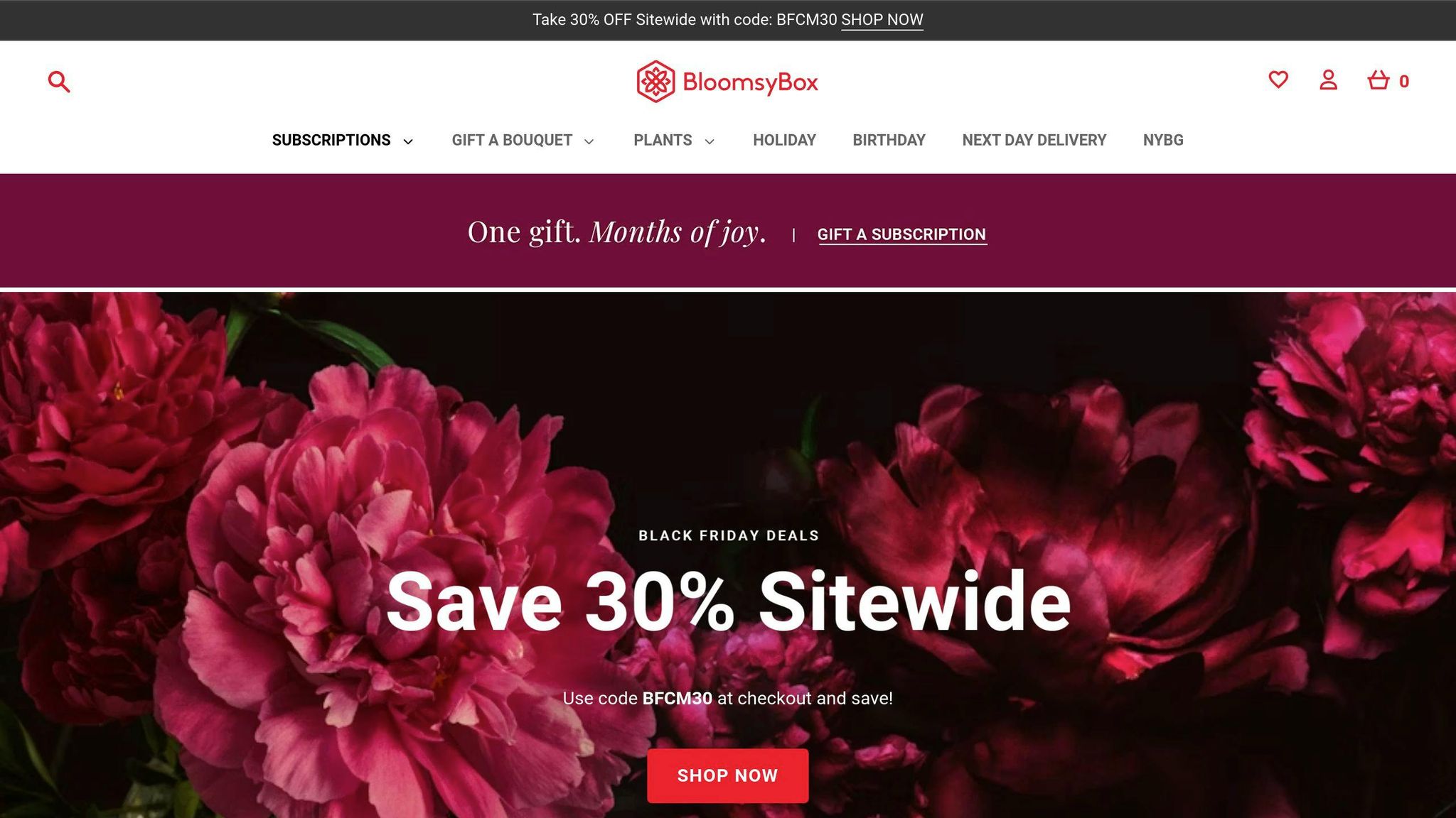 BloomsyBox