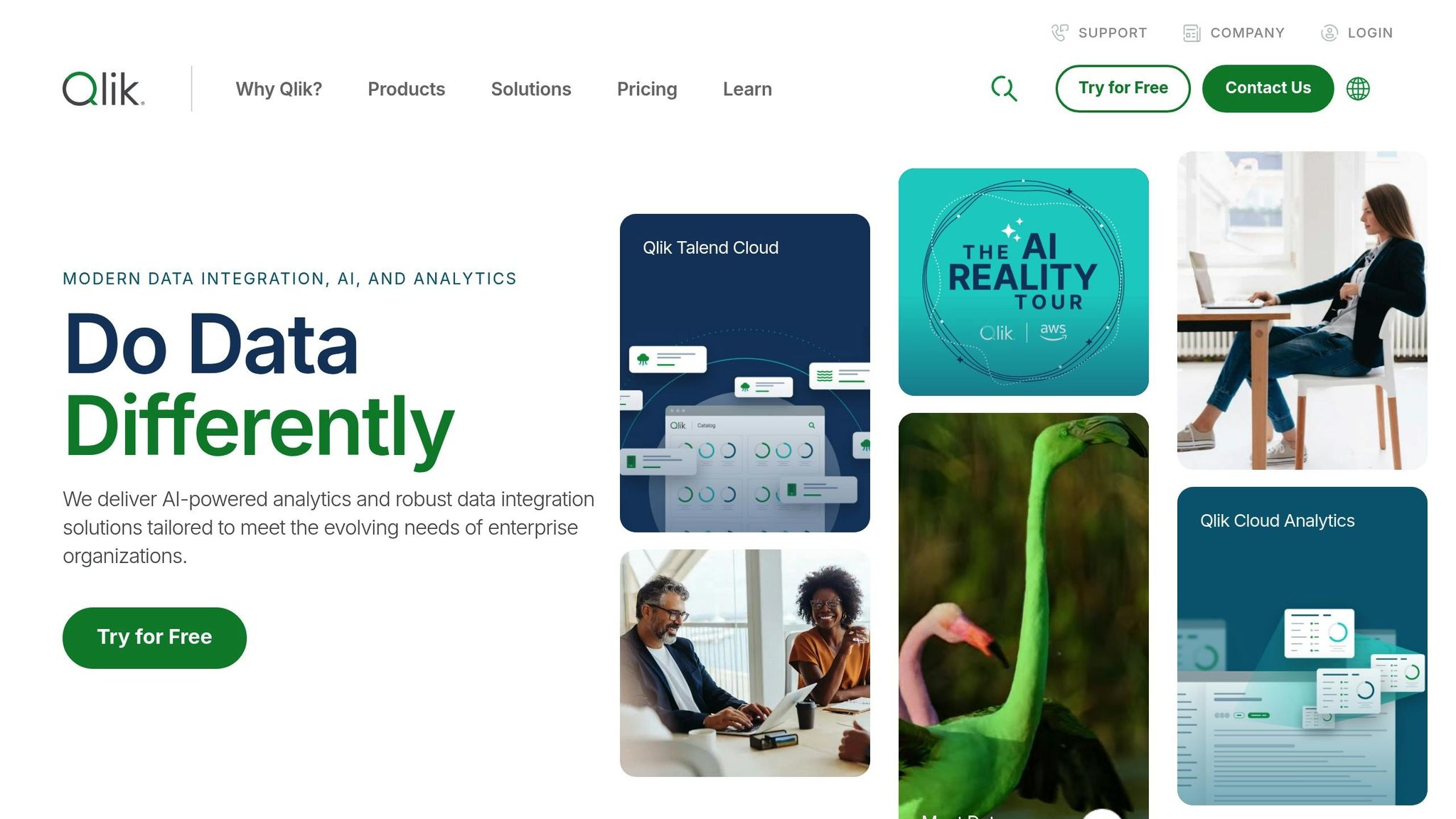 Qlik