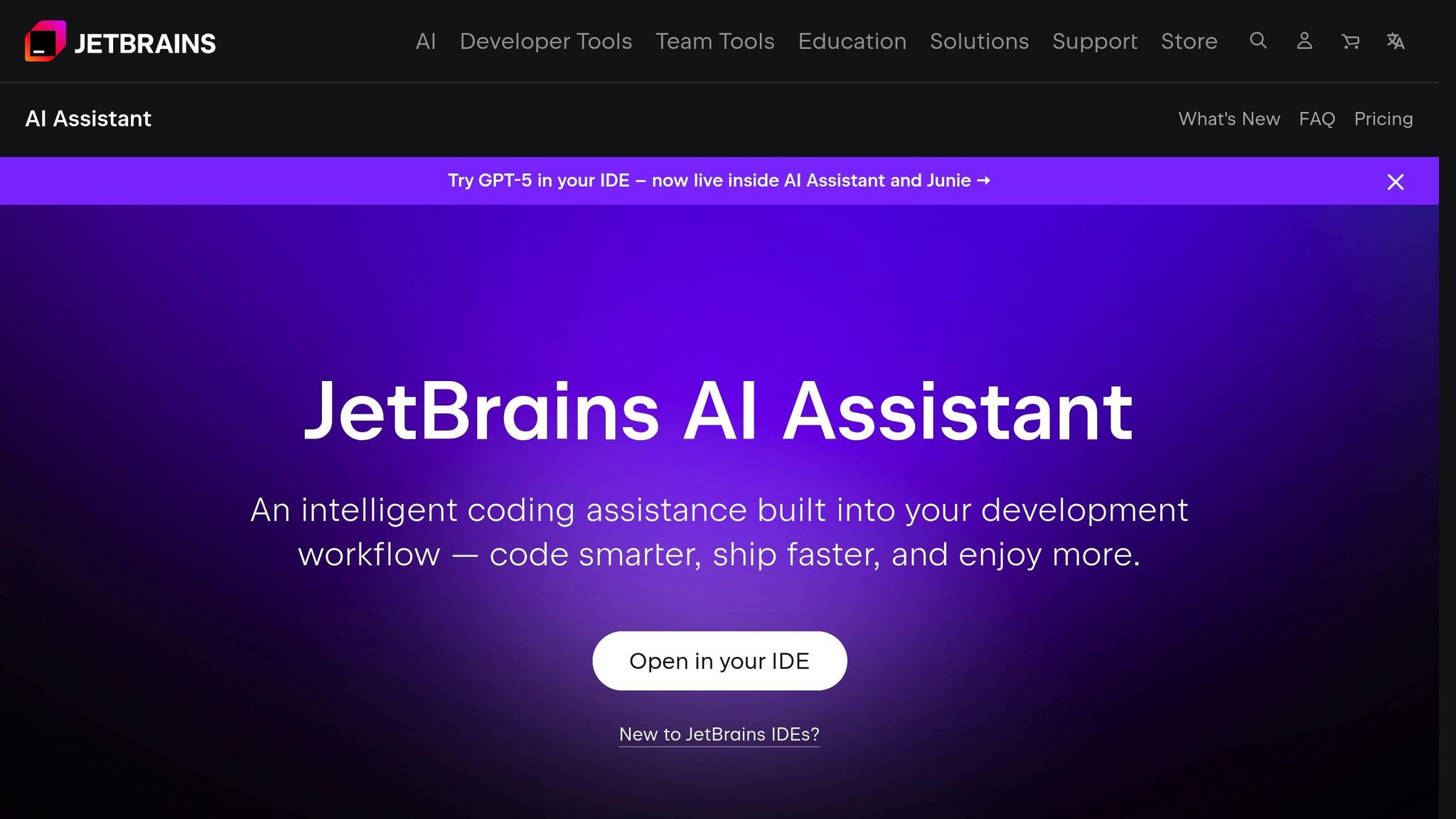 JetBrains AI Assistant