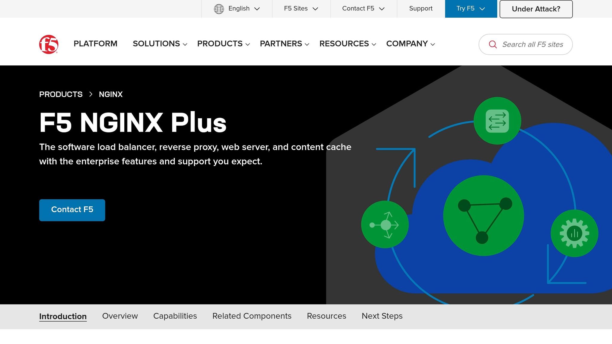 NGINX Plus