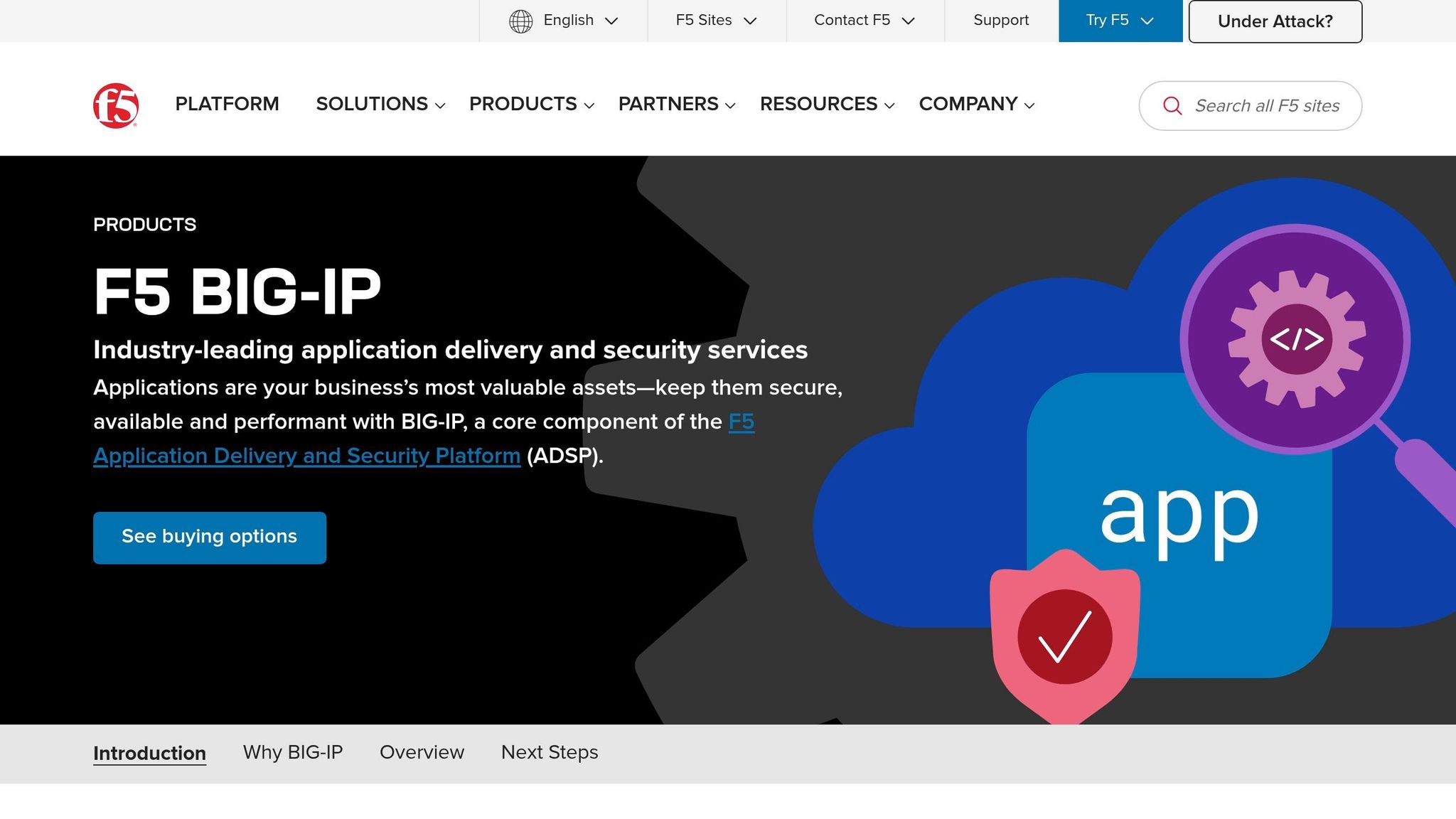 F5 BIG-IP