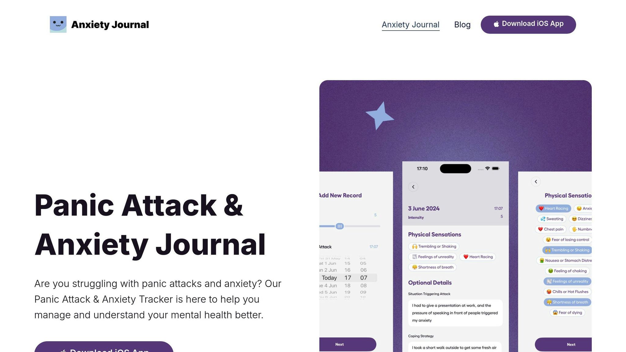 Anxiety Journal