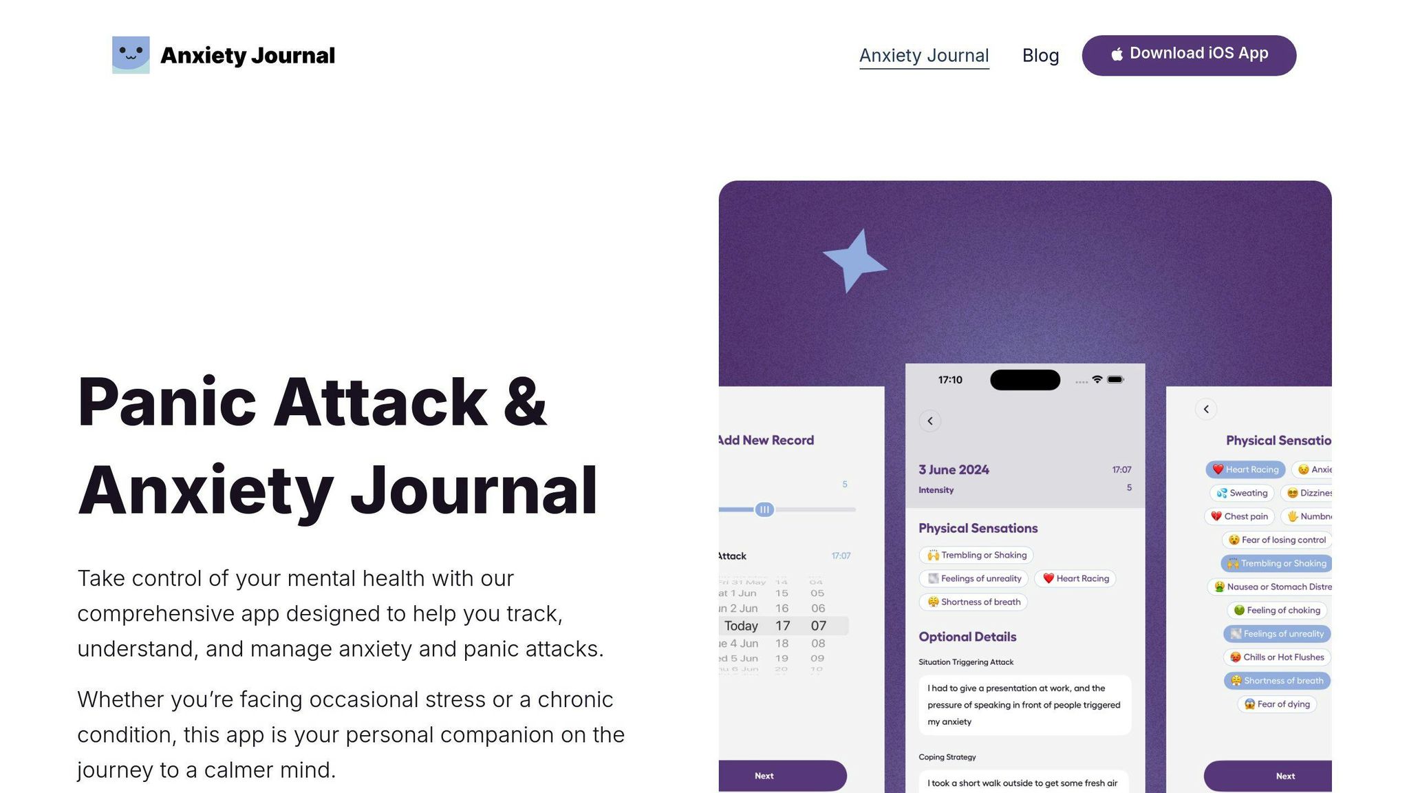 Anxiety Journal
