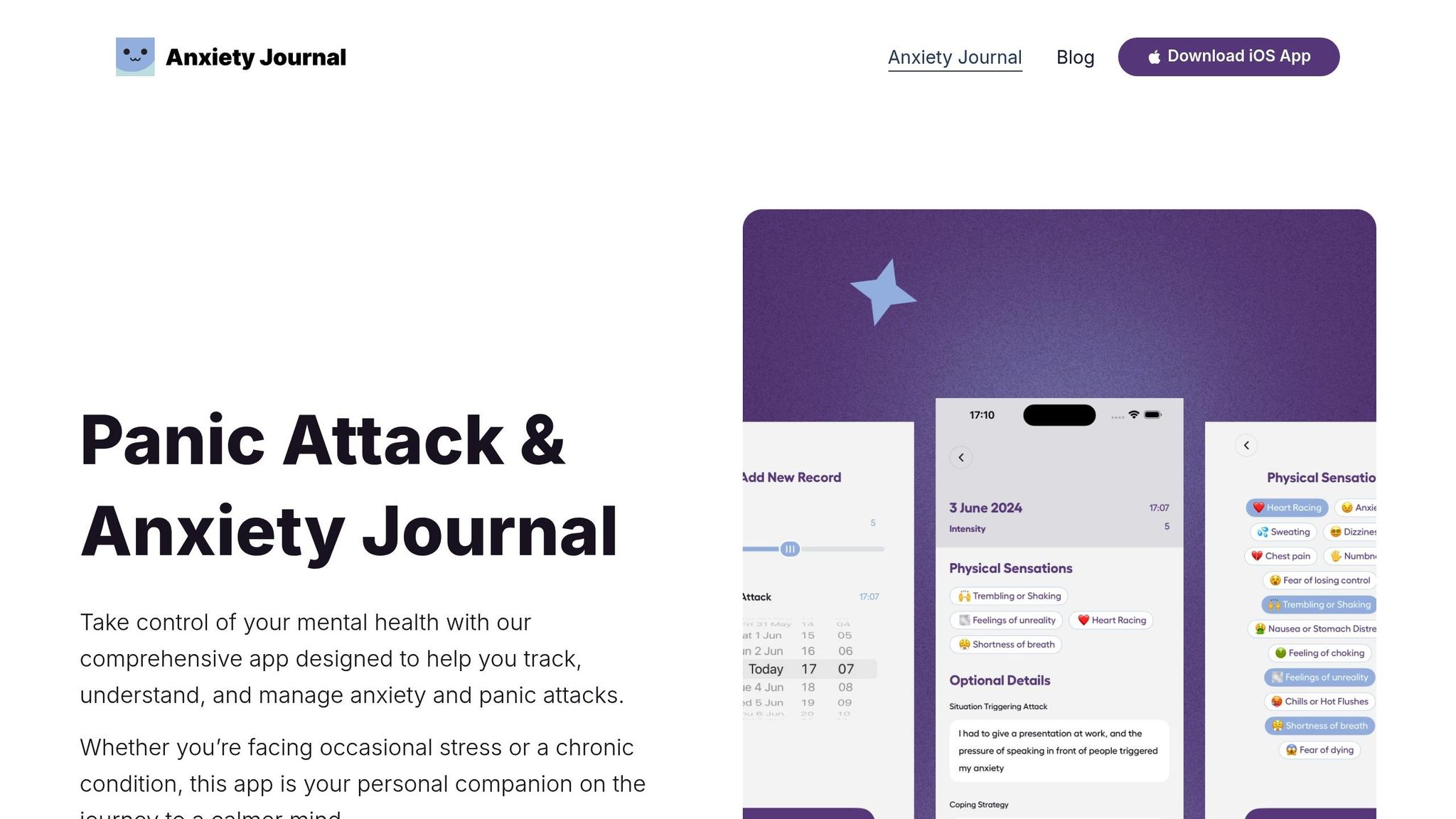 Anxiety Journal