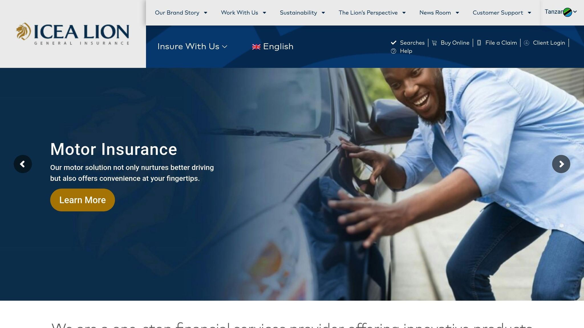 ICEA LION Group Tanzania