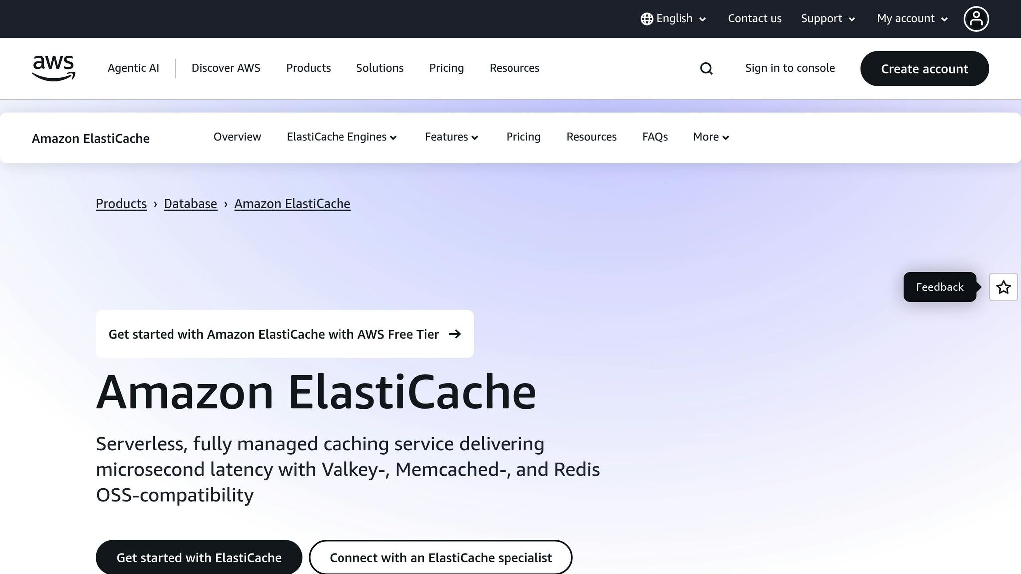 ElastiCache