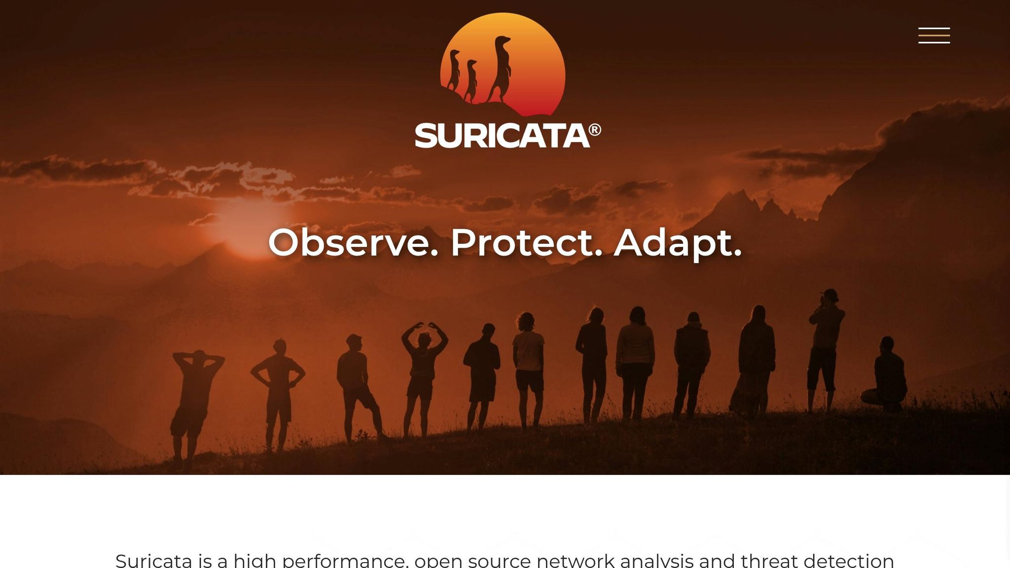 Suricata