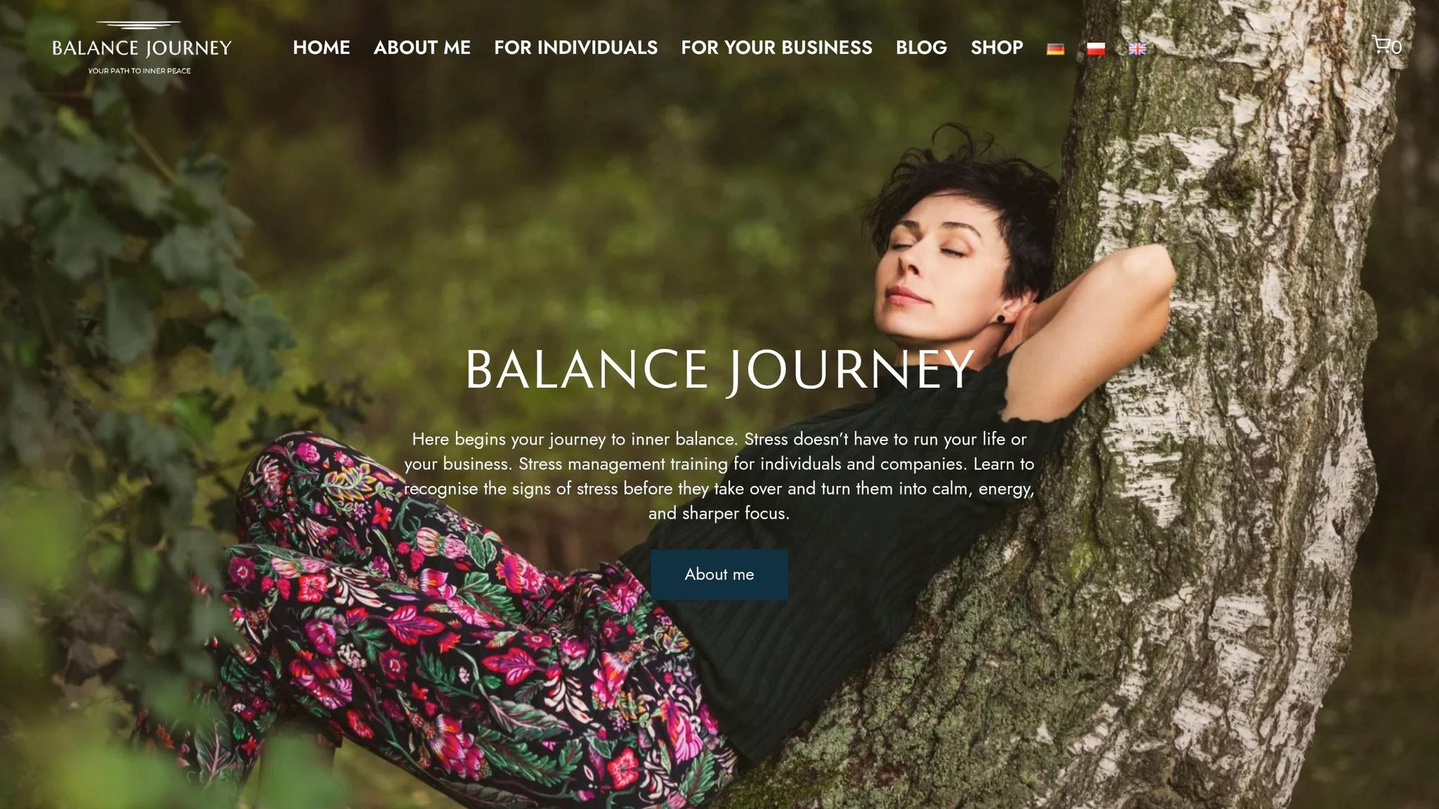 Balance Journey
