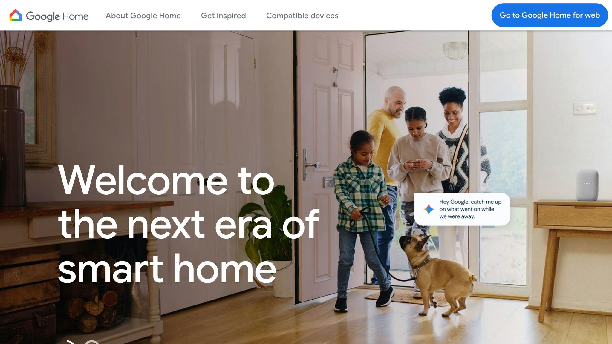 Google Home