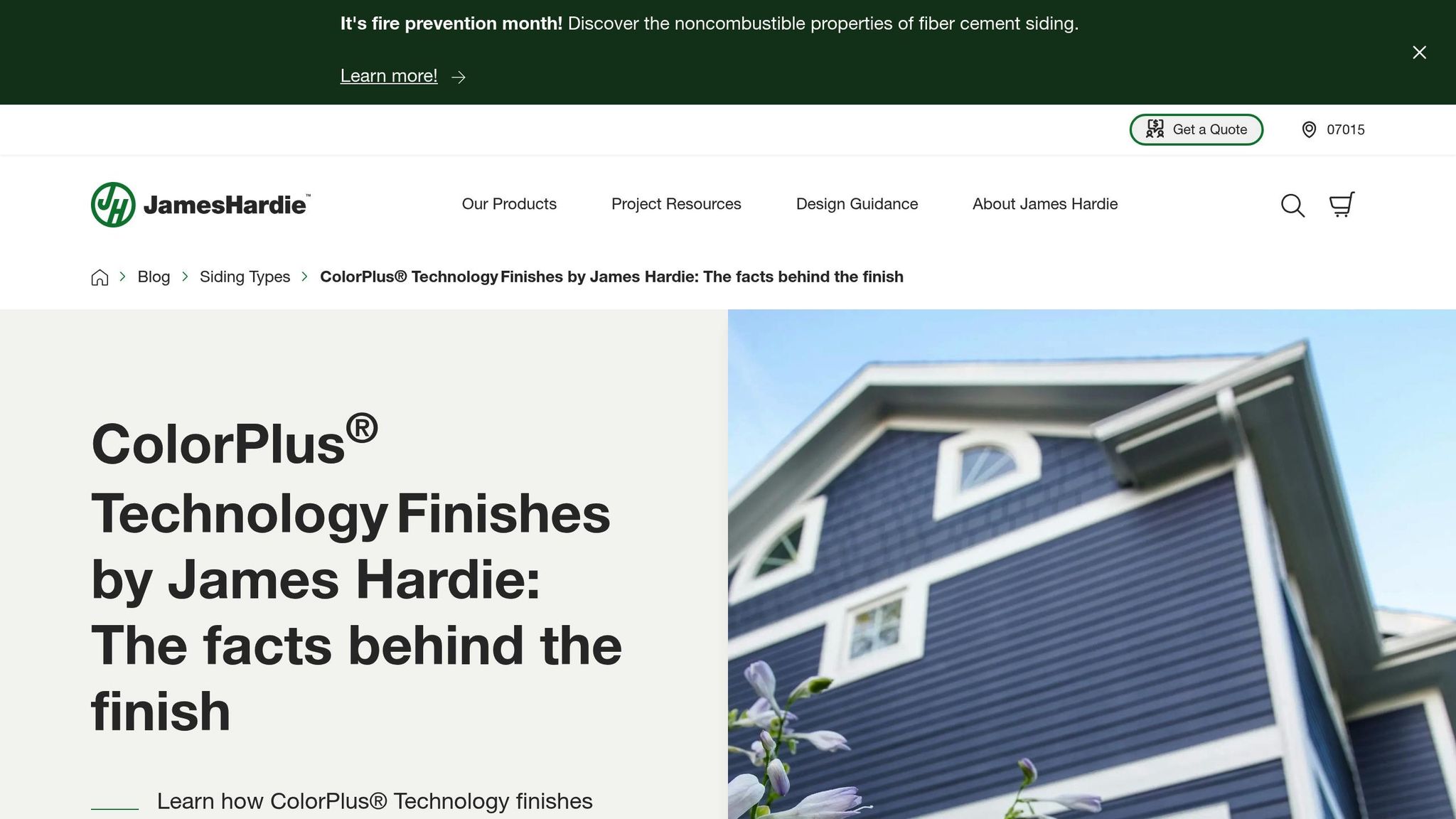 ColorPlus Technology