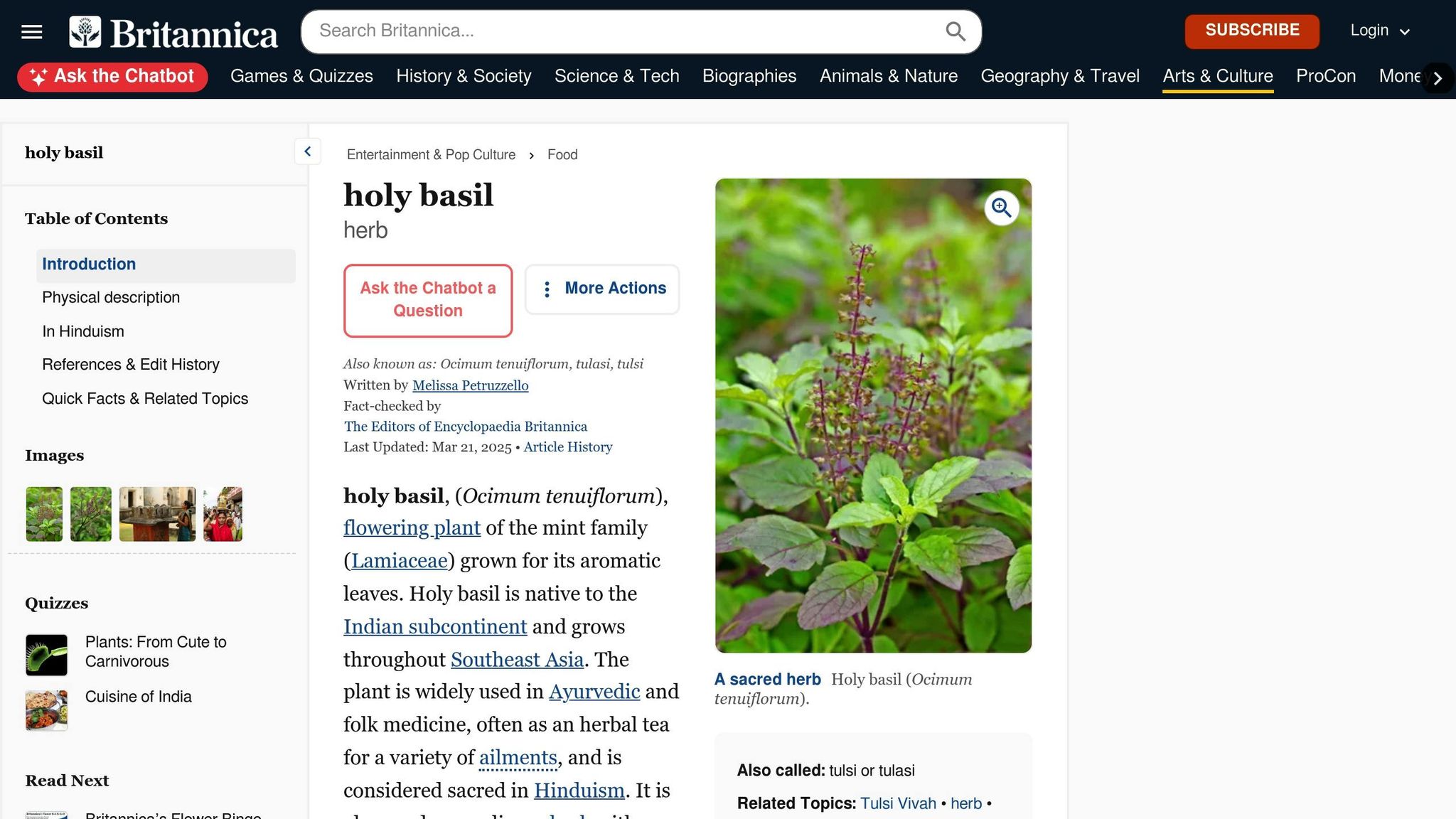 Tulsi