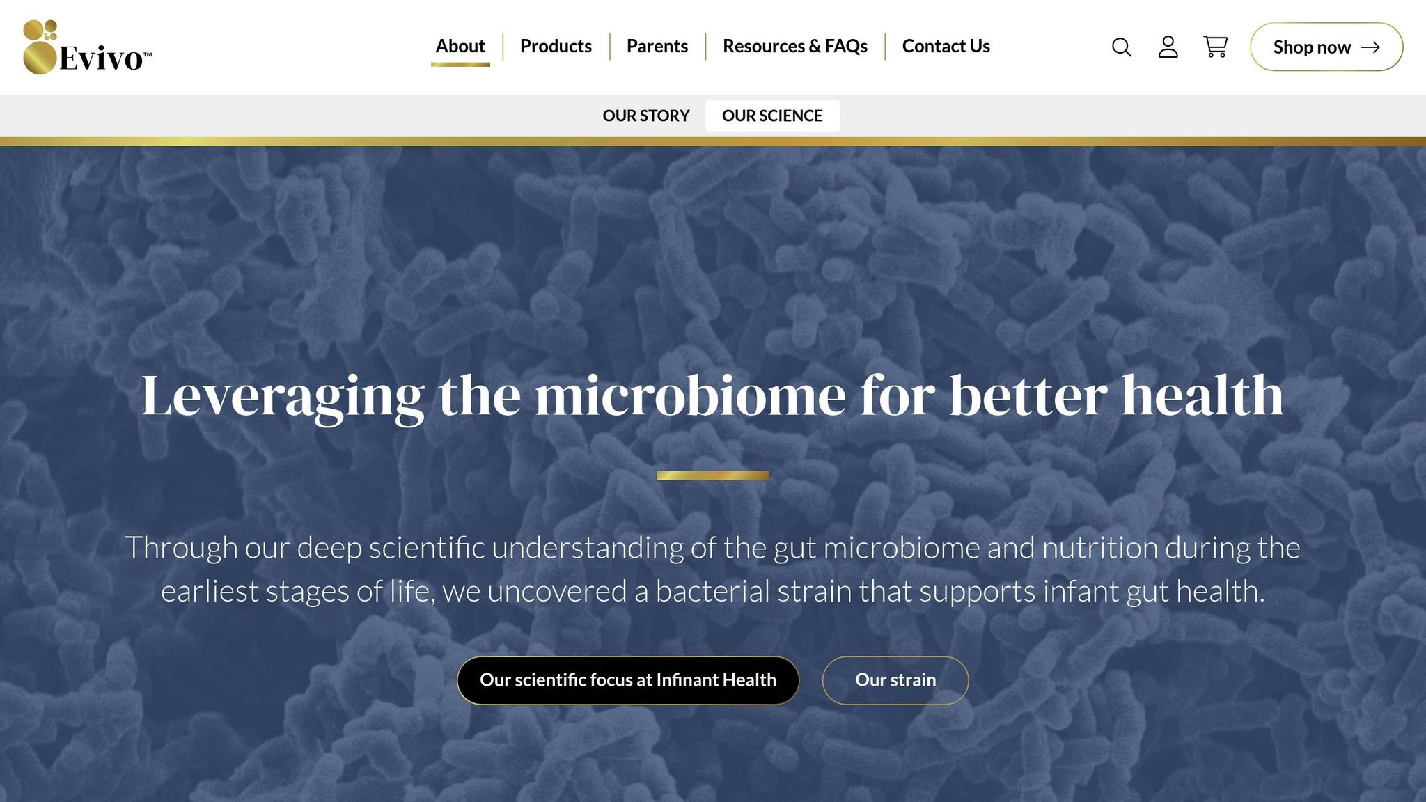 Bifidobacterium infantis EVC001