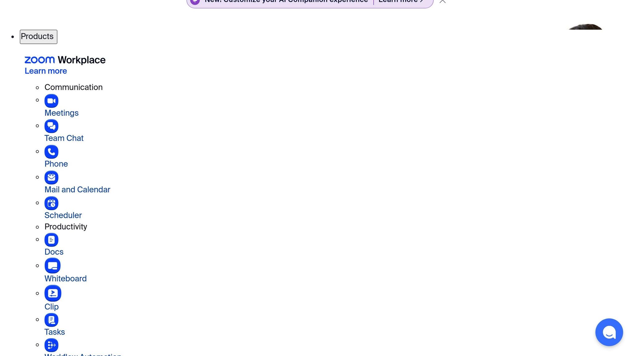 Translation Features in Zoom