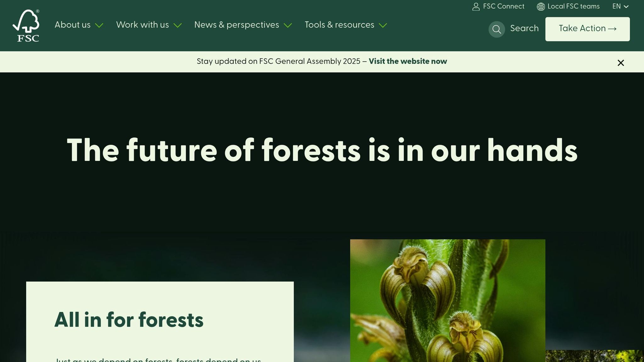 Forest Stewardship Council