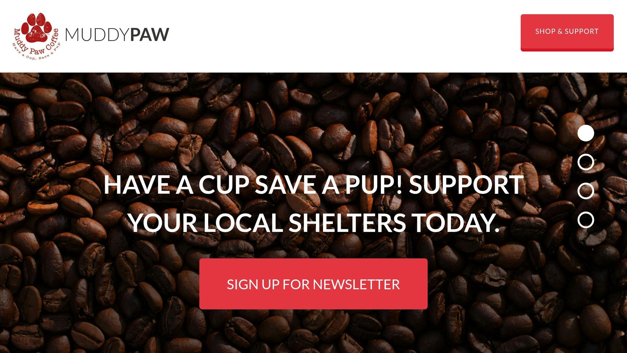 Muddy Paw Coffee