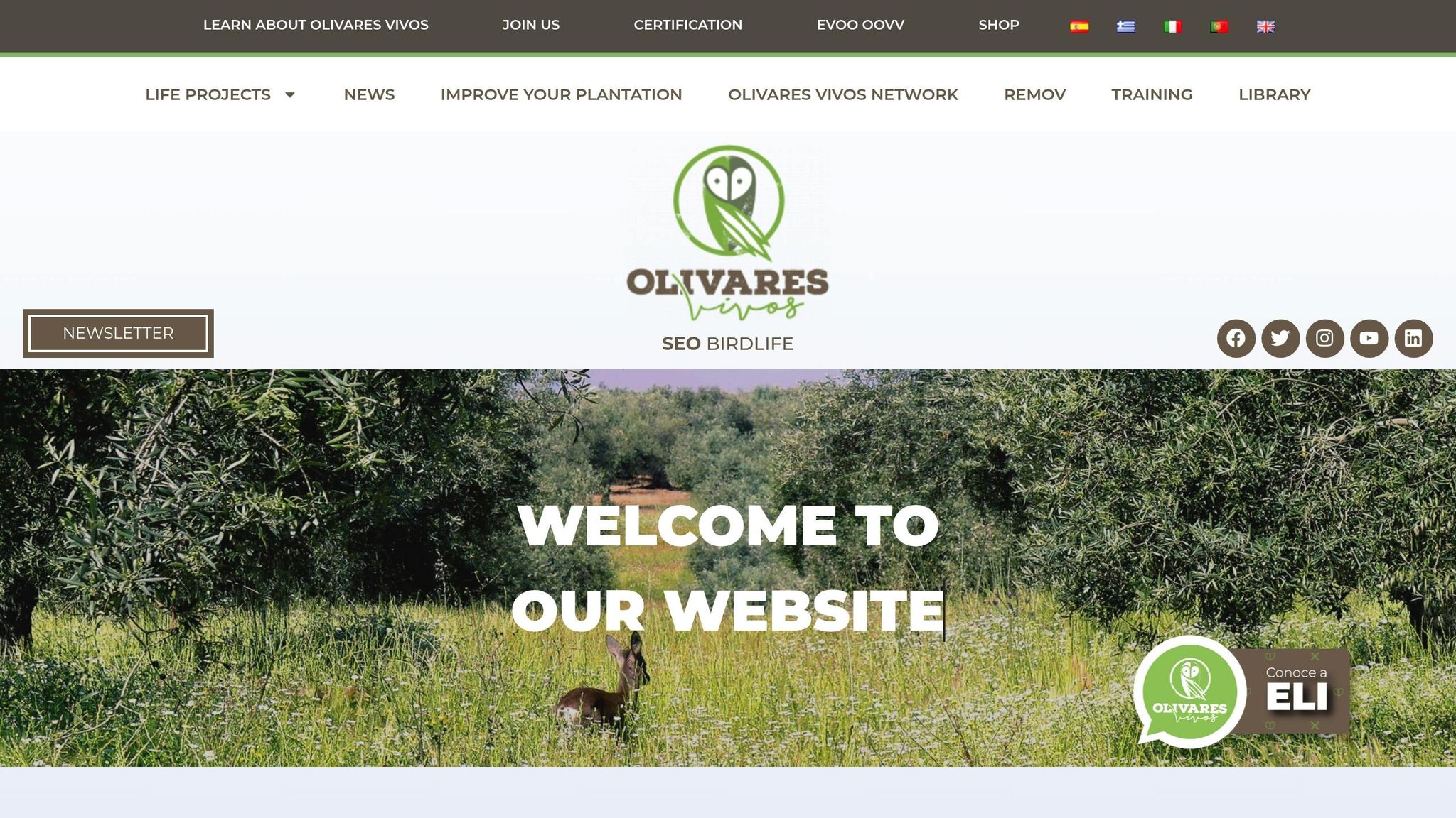 Olivares Vivos
