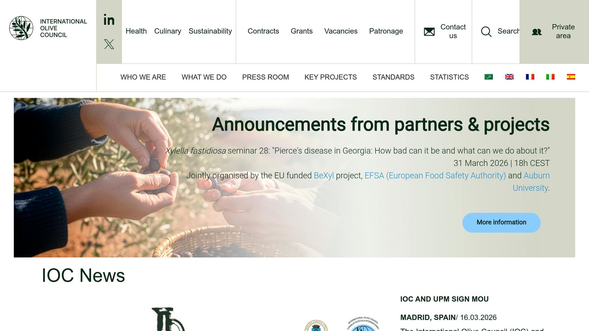 International Olive Council