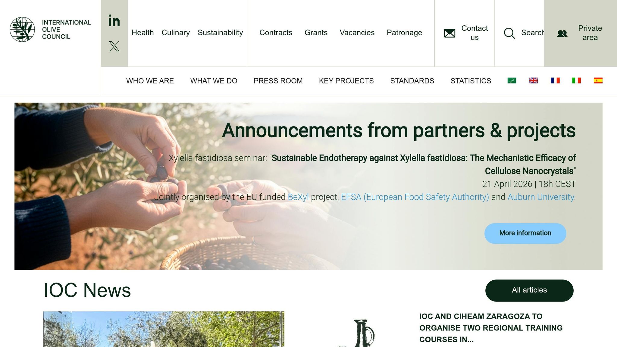 International Olive Council