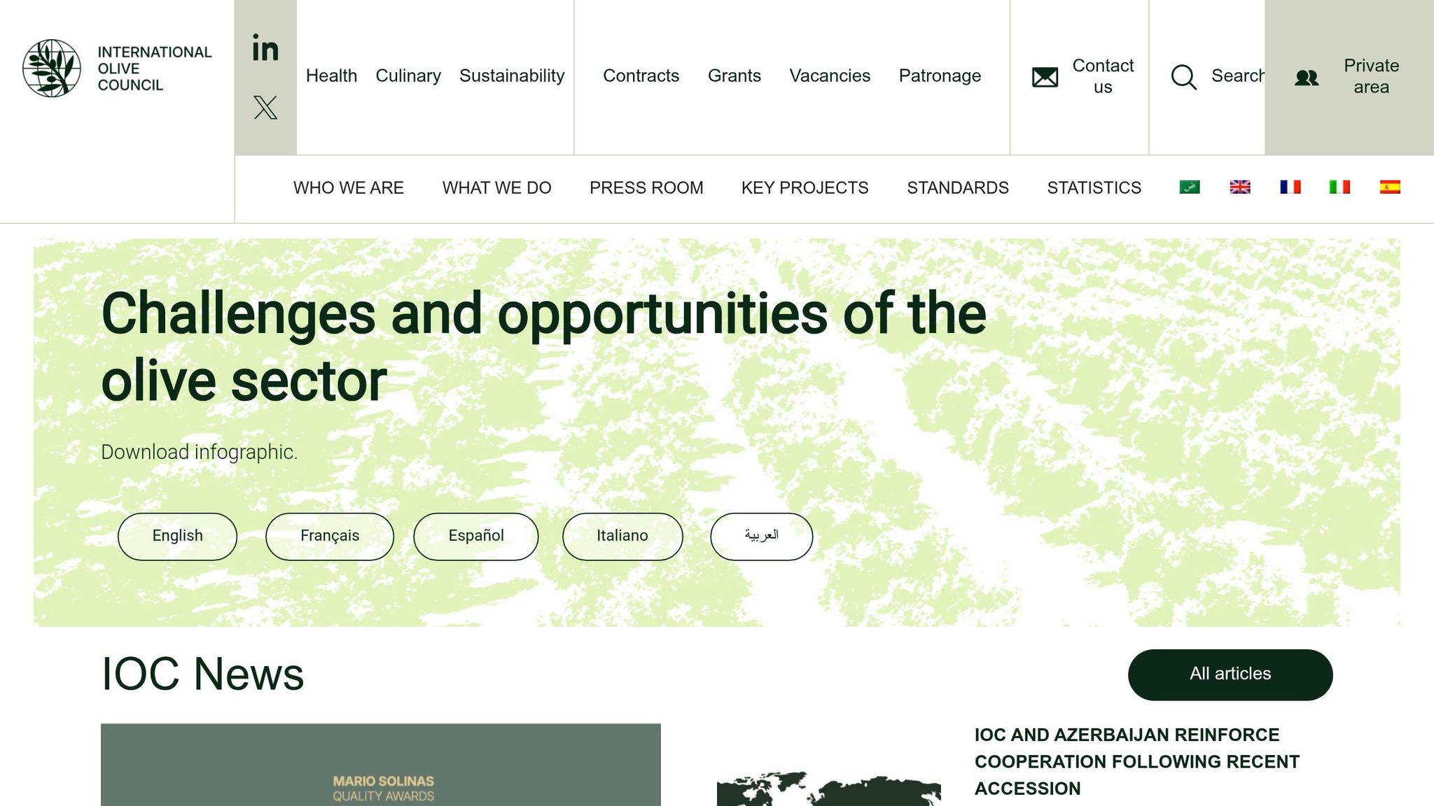 International Olive Council