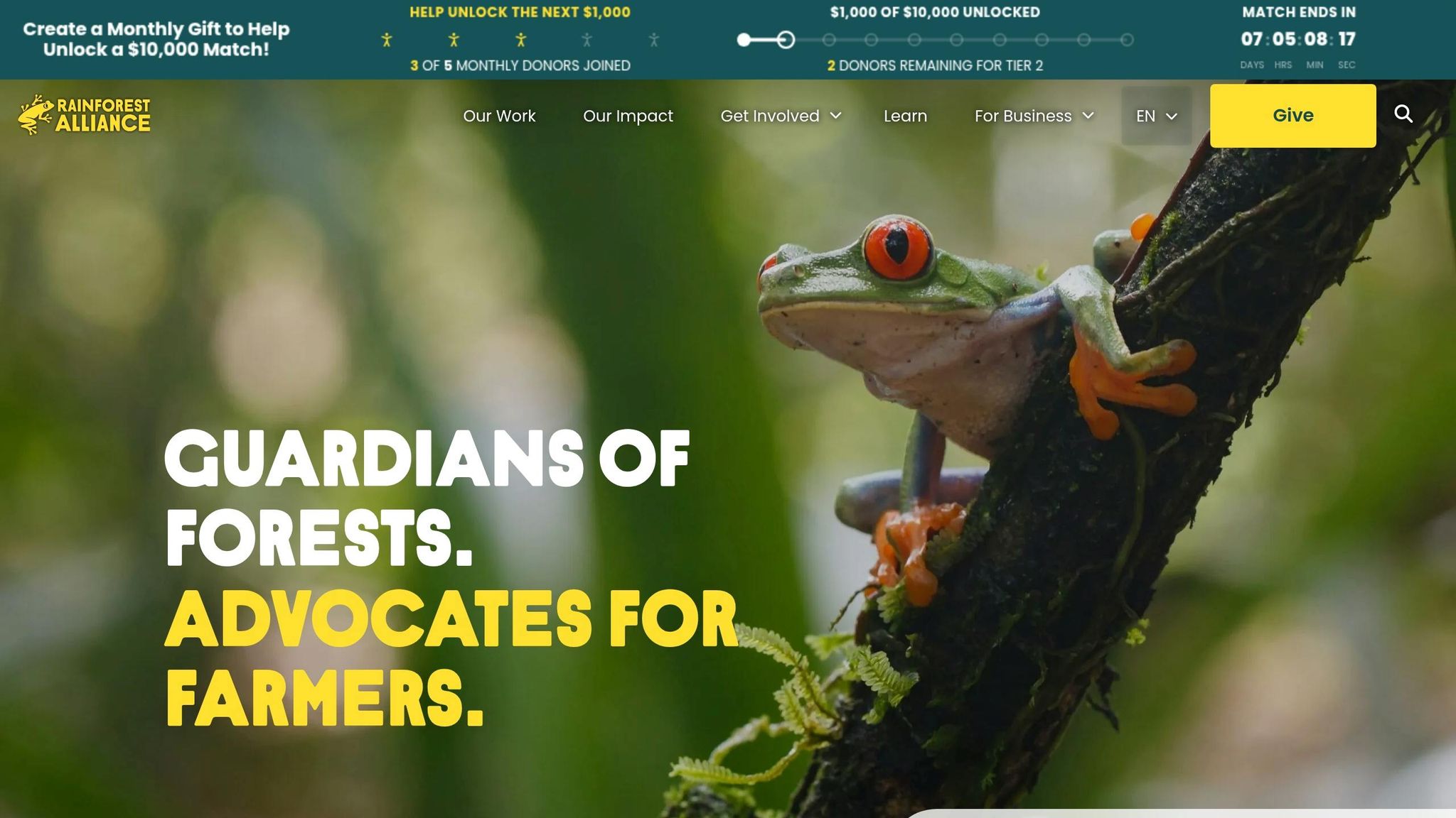 Rainforest Alliance