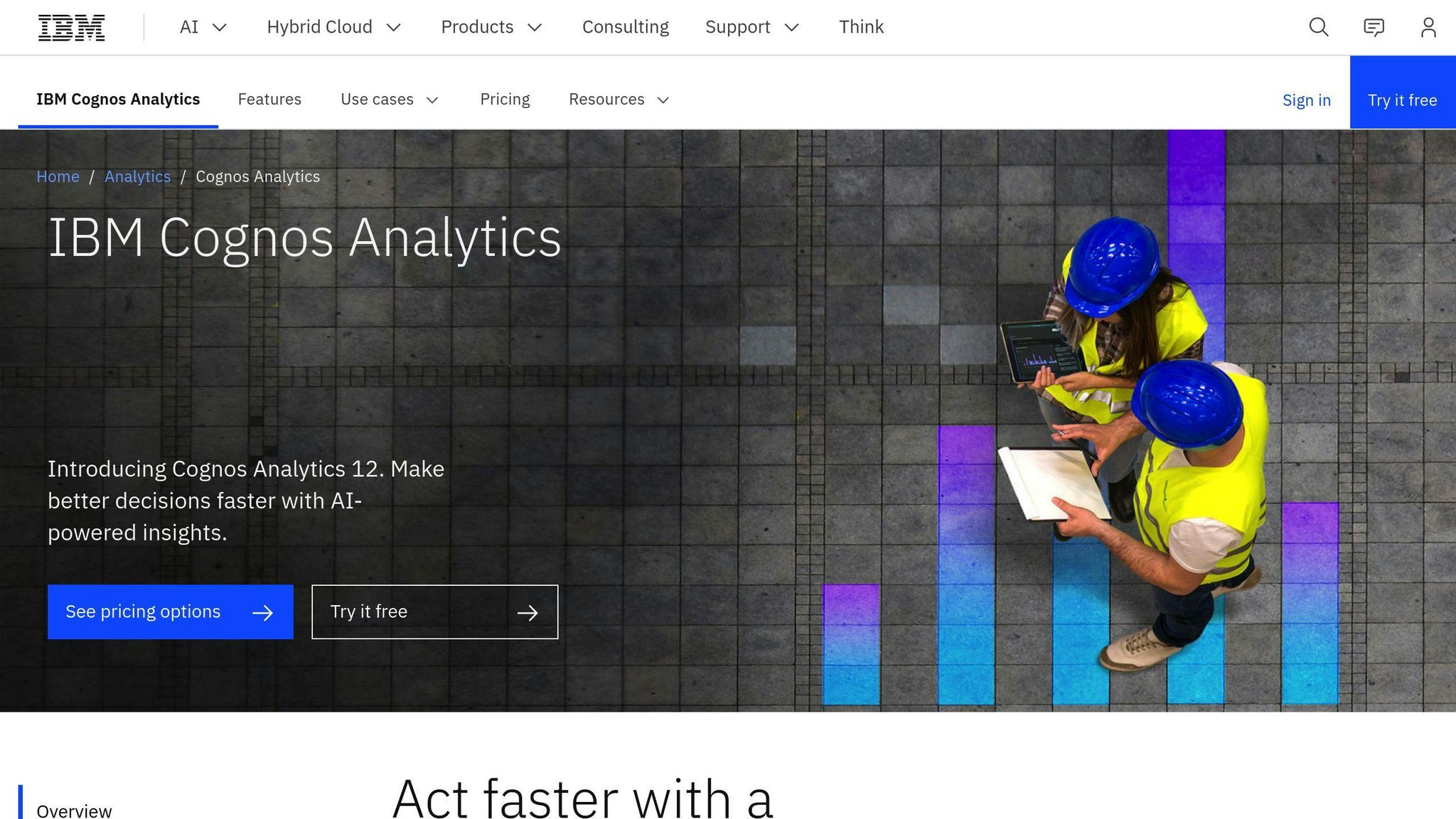 IBM Cognos Analytics