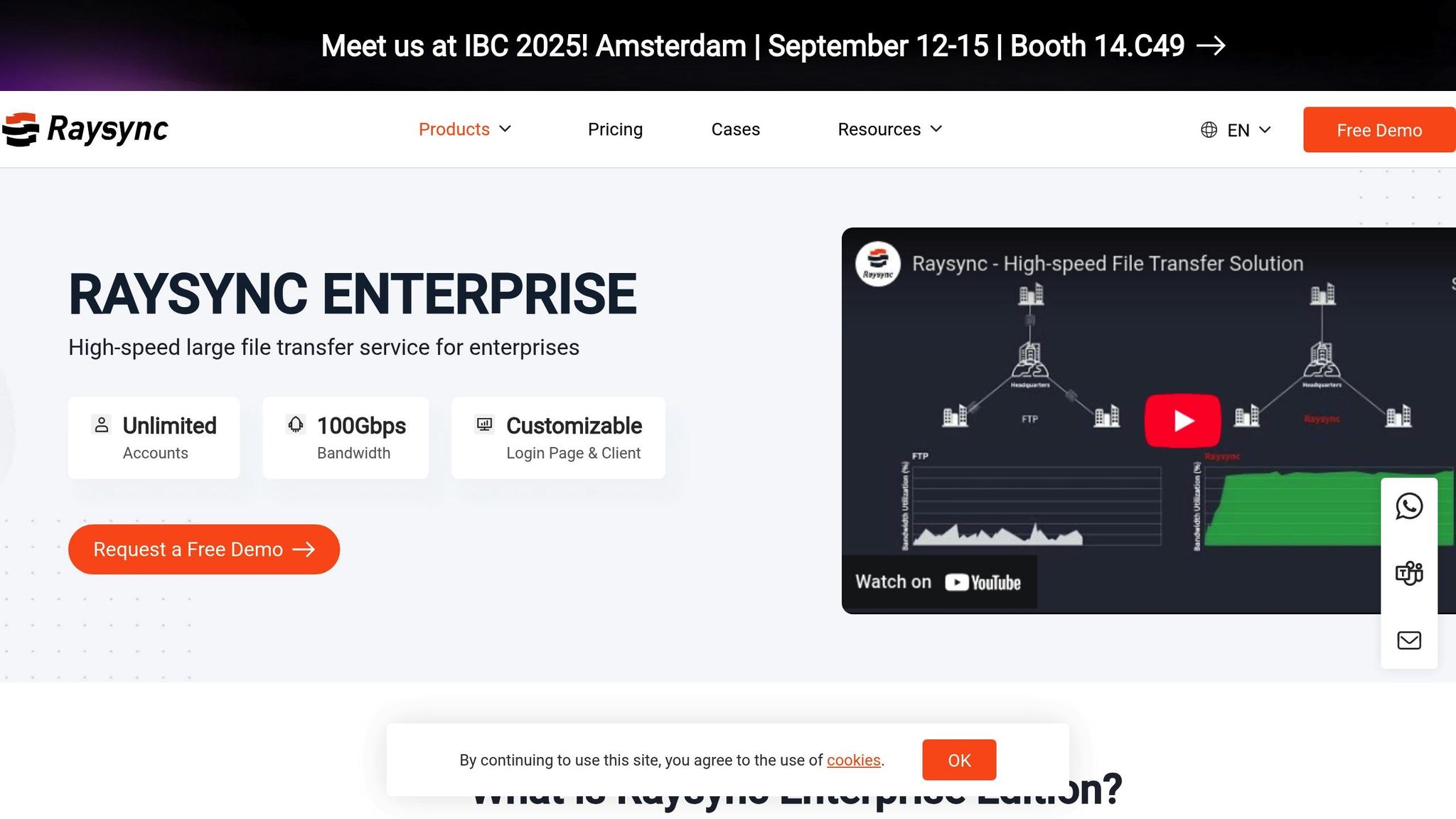 Raysync Enterprise