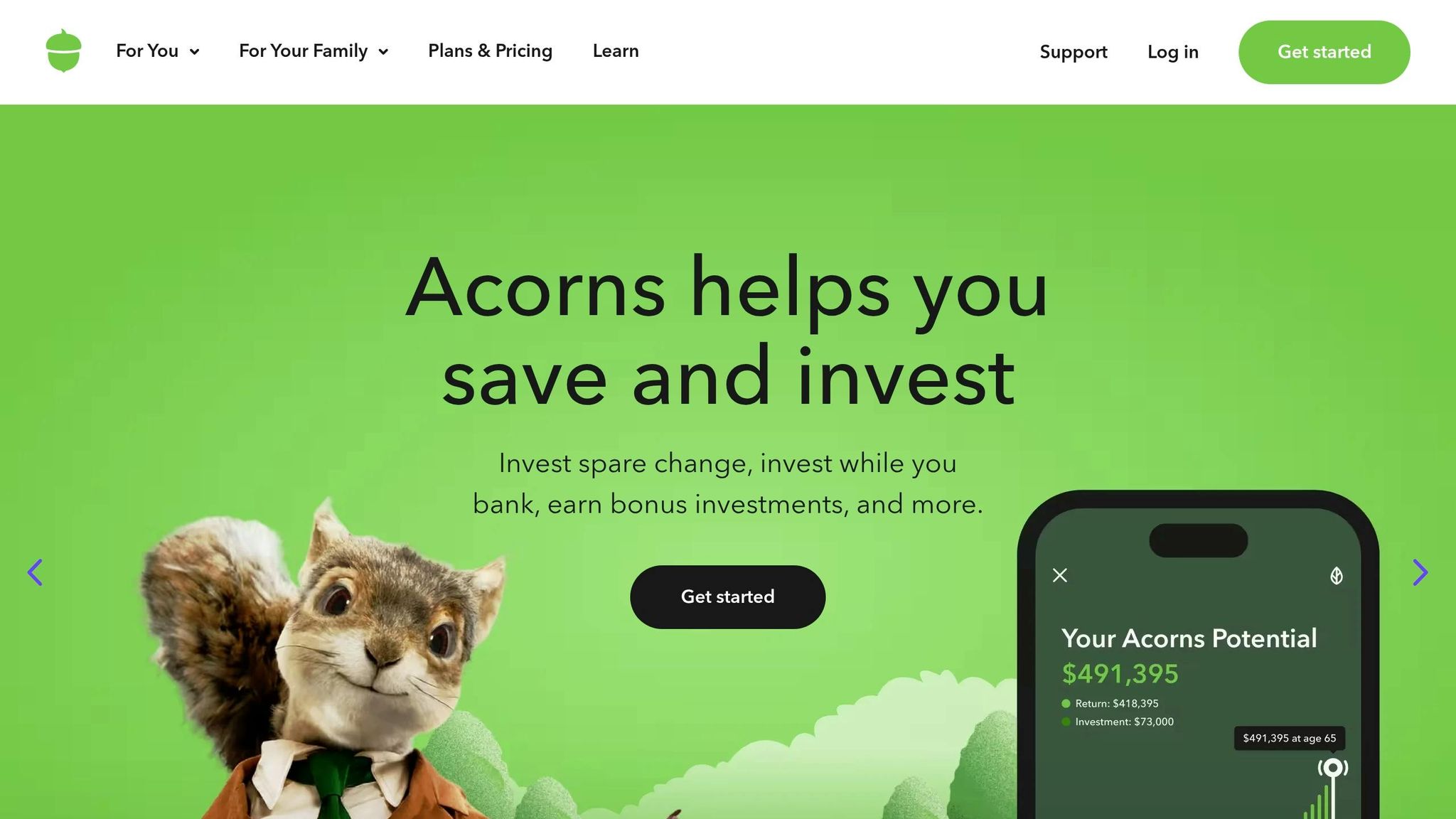 Acorns