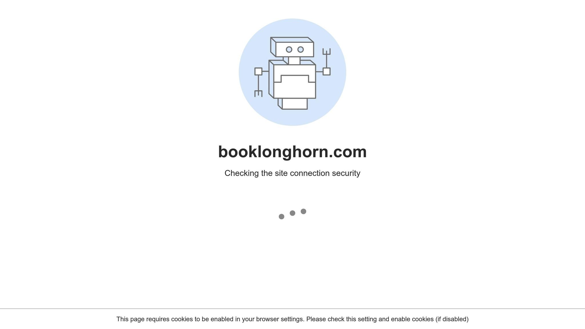 Longhorn Services