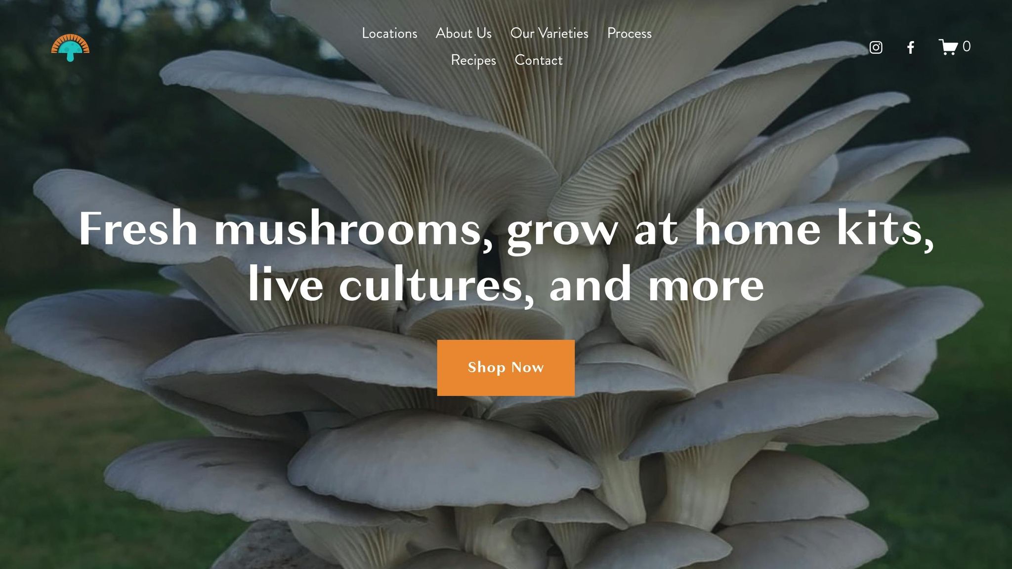 Zephyr Gills Mushrooms