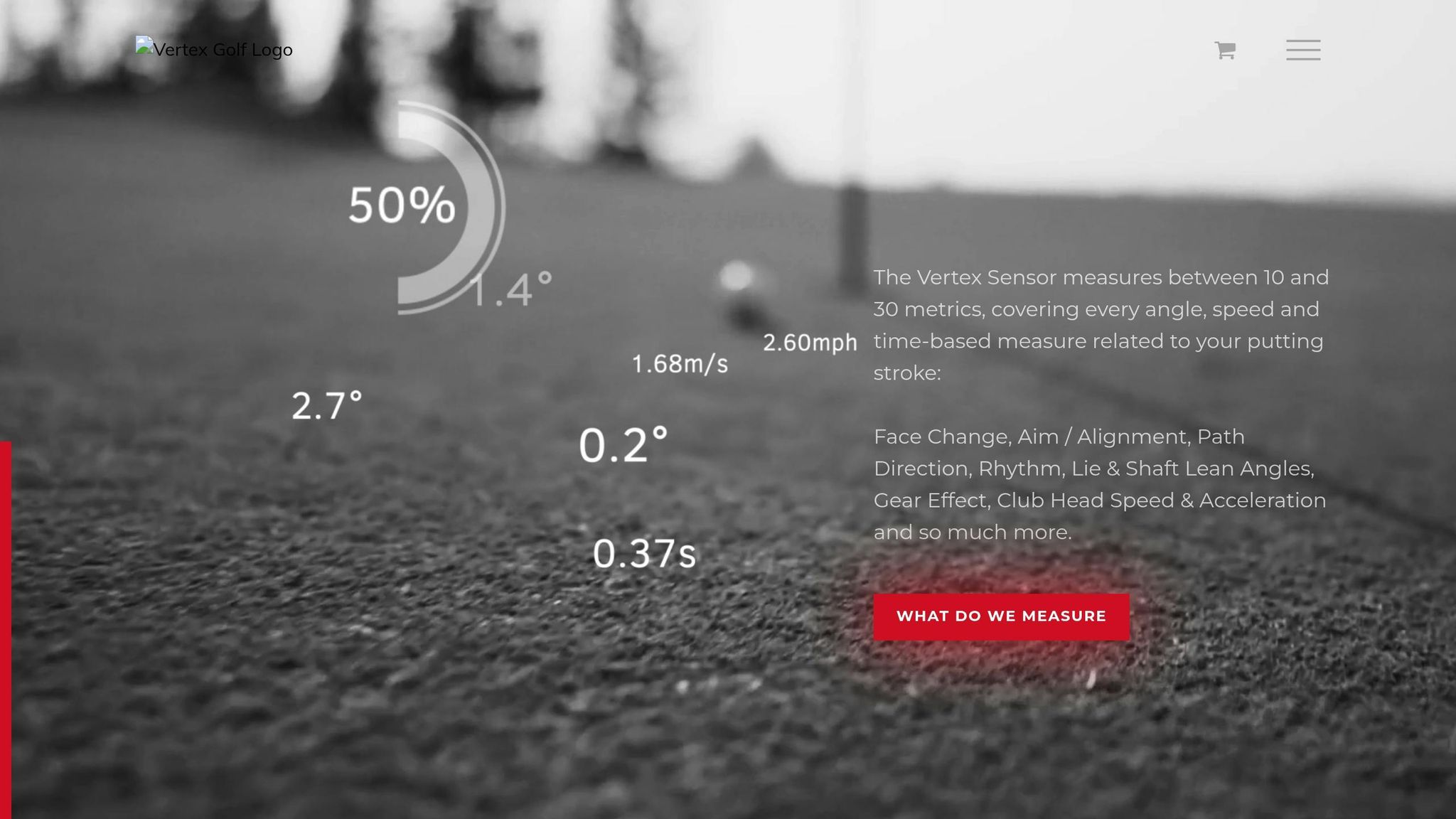 Vertex Putting Analyzer