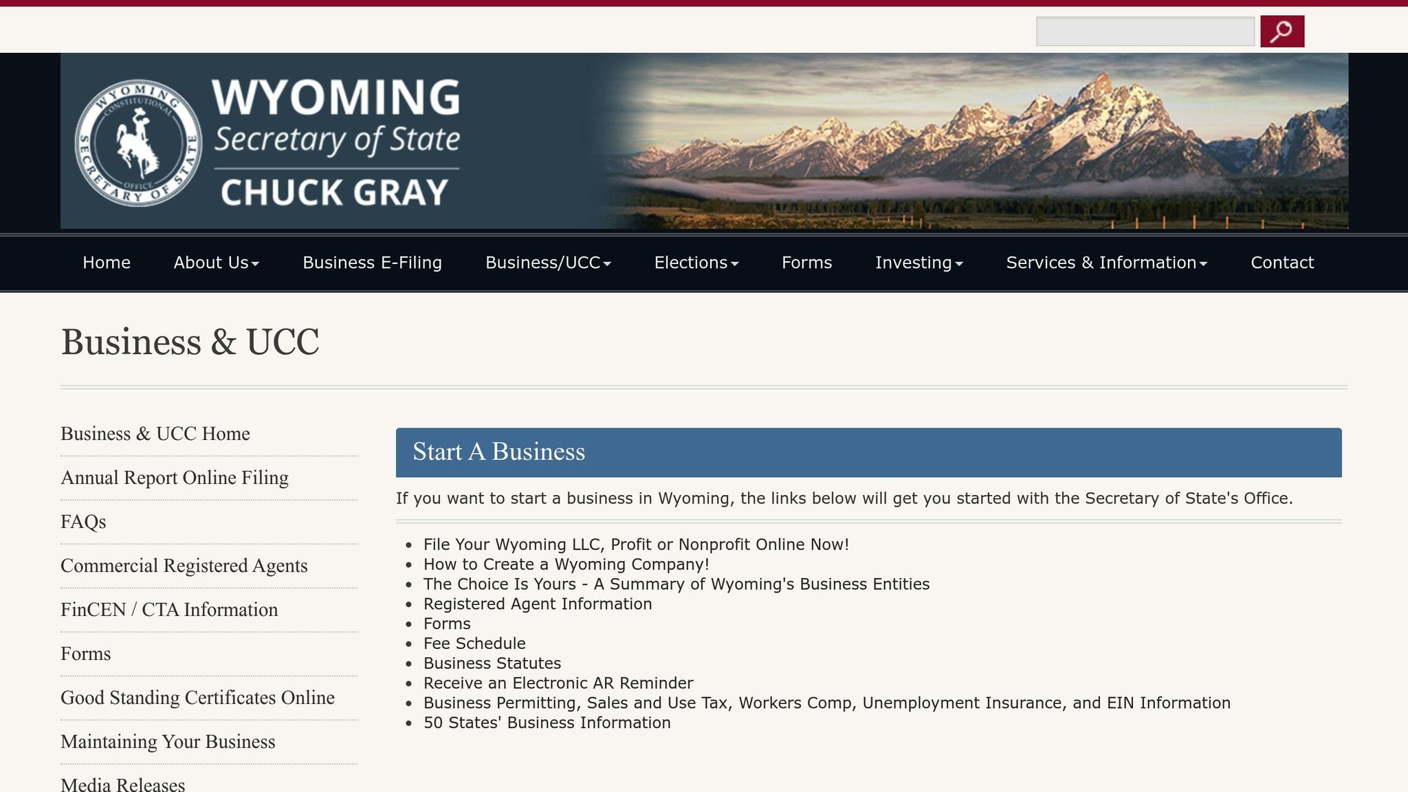 Best State to Form an LLC for Online Businesses