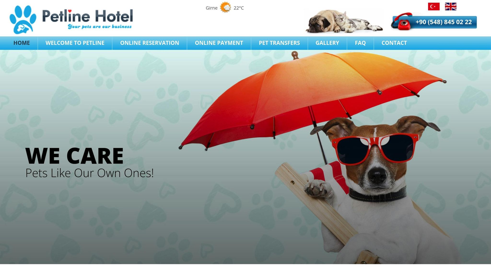 Petline Hotel