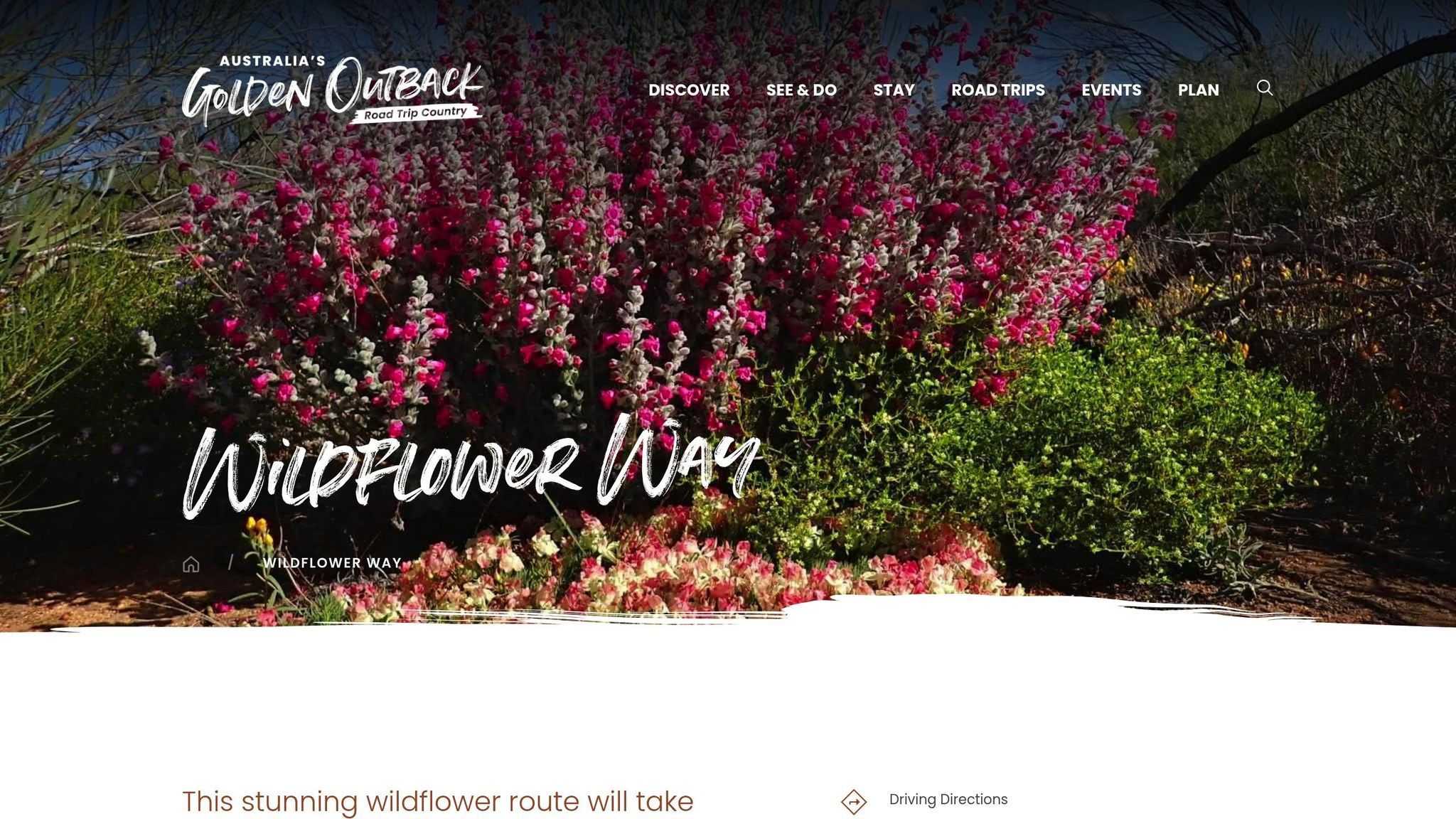 Wildflower Way