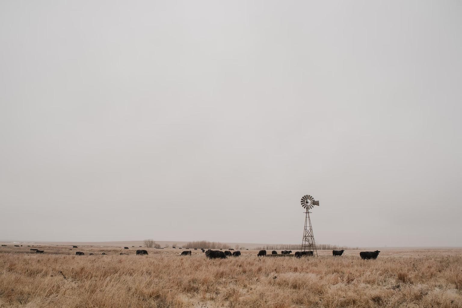 Thumbnail for: Cotton Gins In Kansas: Full List