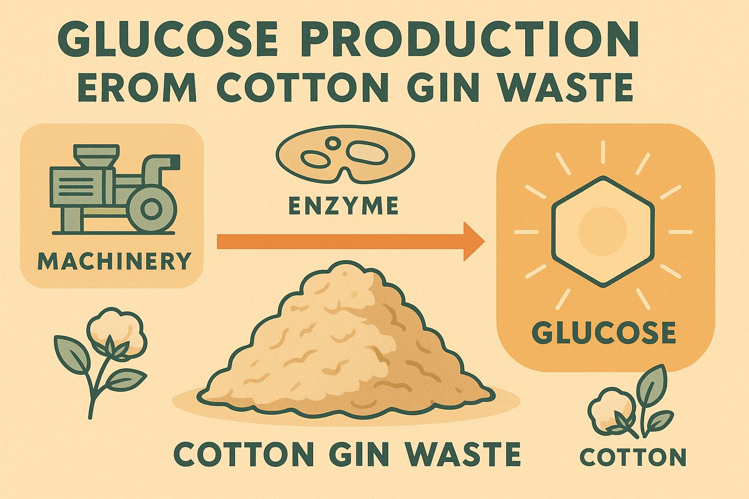Thumbnail for: Glucose Production from Cotton Gin Waste
