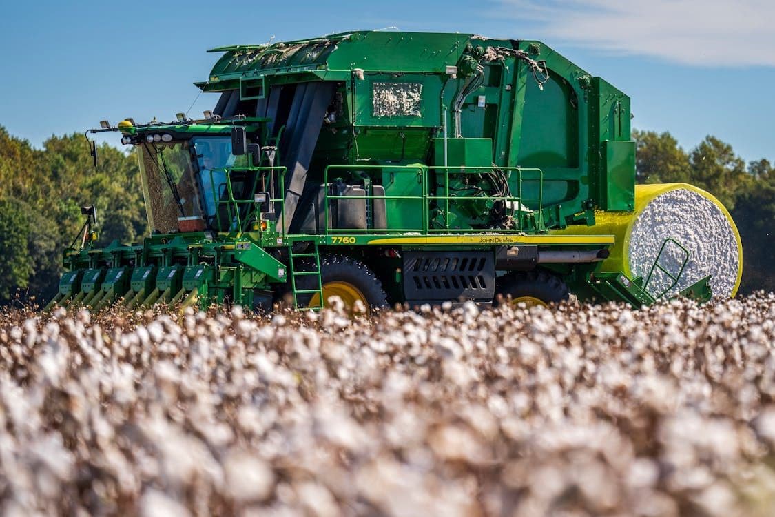 Thumbnail for: Cotton Crop Rotation Practices: Enhancing Soil Health and Yield Sustainability