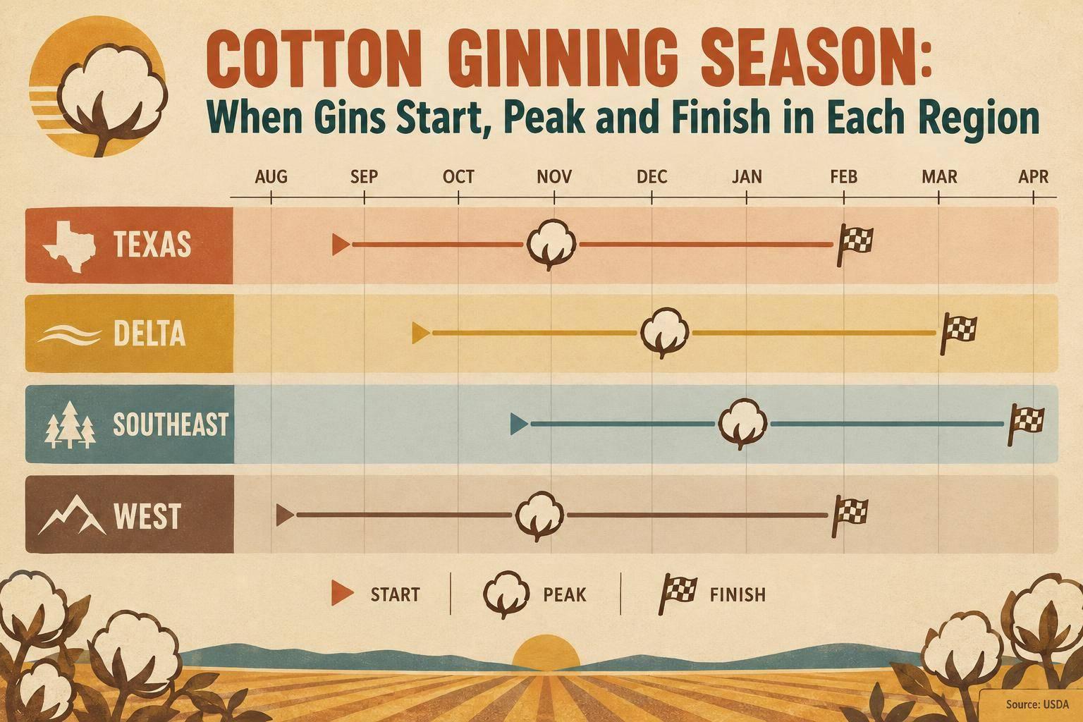 Thumbnail for: Cotton Ginning Season: When Gins Start, Peak and Finish in Each Region