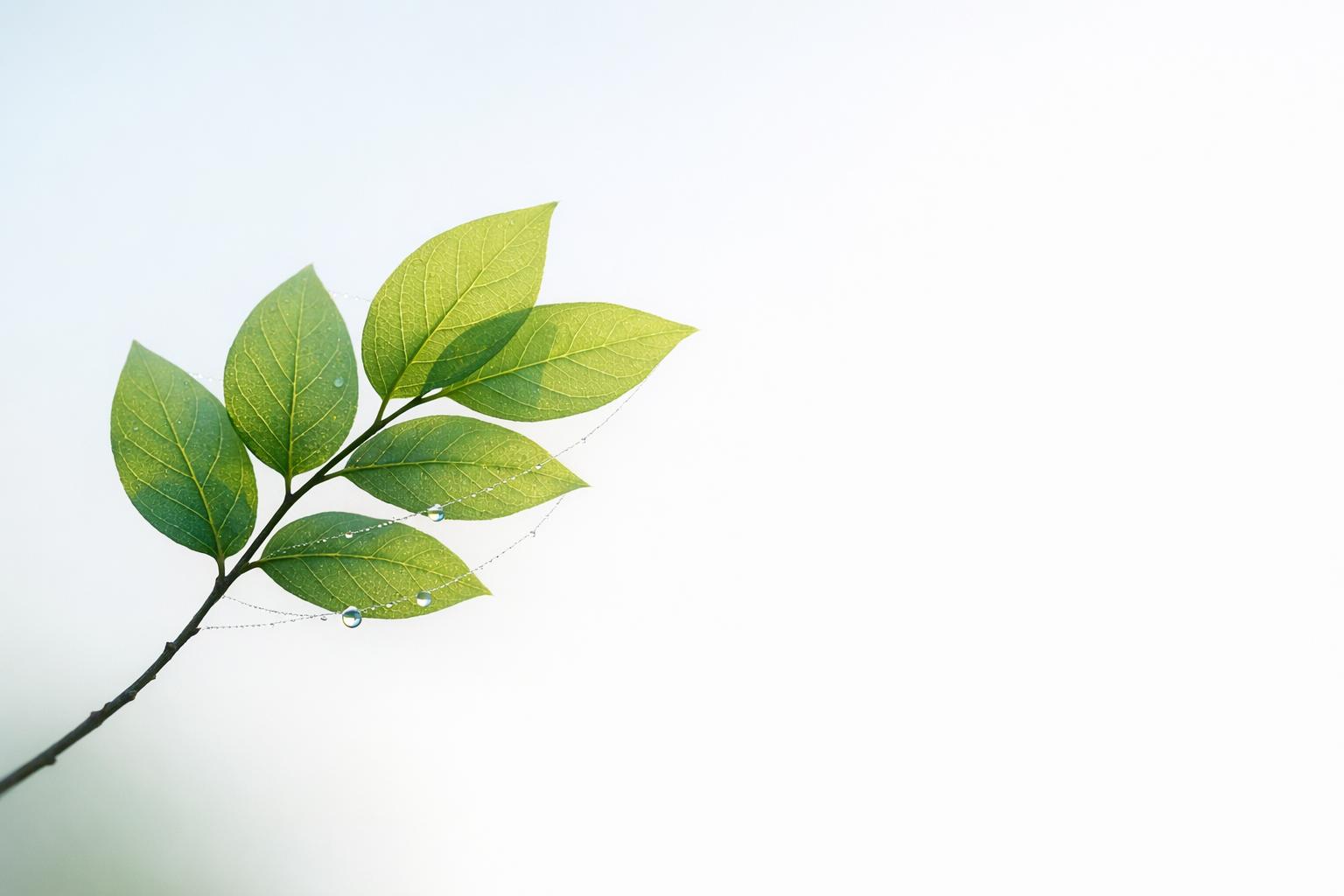 Thumbnail for: Microservices Governance for Low Code Platforms