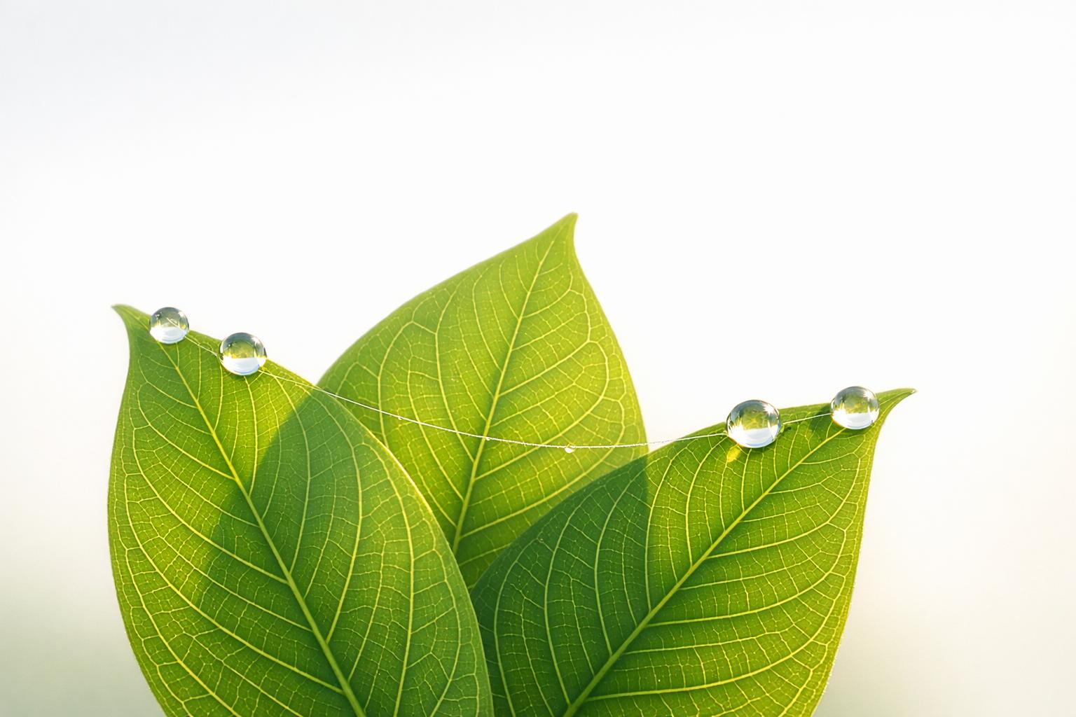 Thumbnail for: Low Code Tools for KPI Tracking Automation