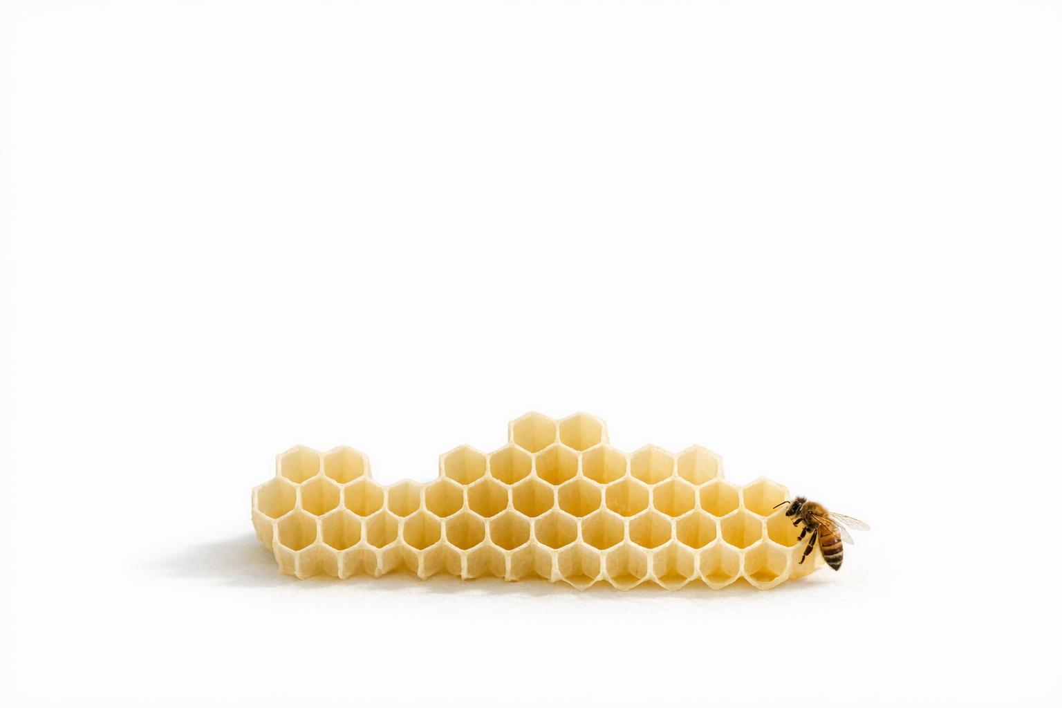 Thumbnail for: Feature Iterations: Low Code Best Practices