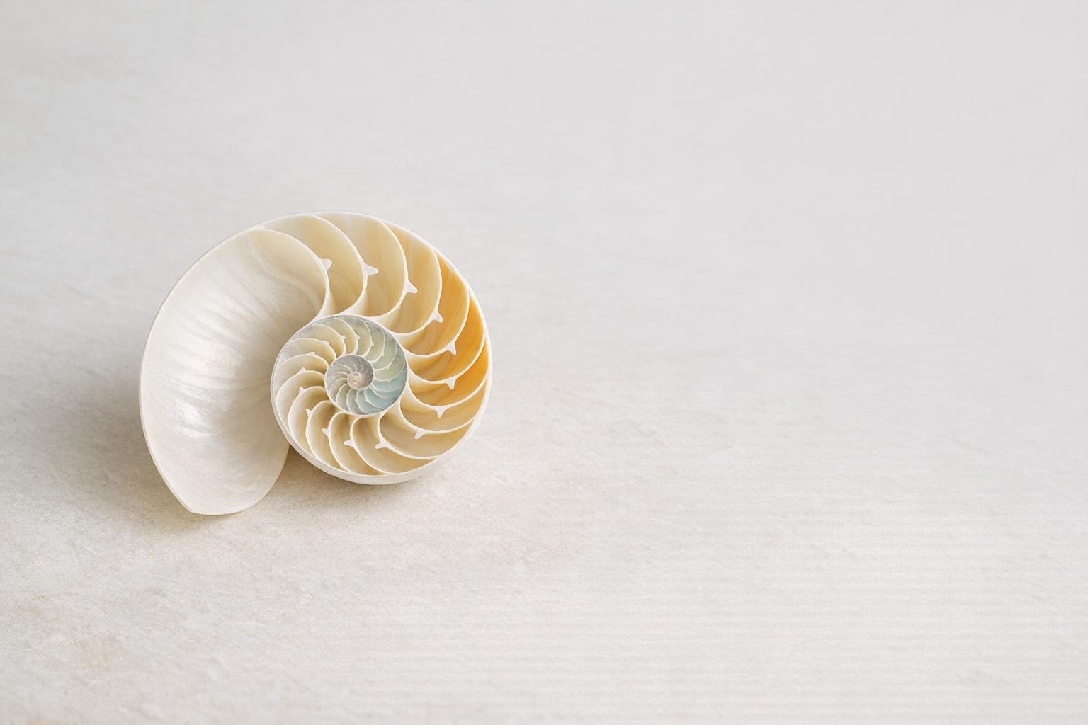 Thumbnail for: Multi-Tenant Schema Design for SaaS Low-Code Apps