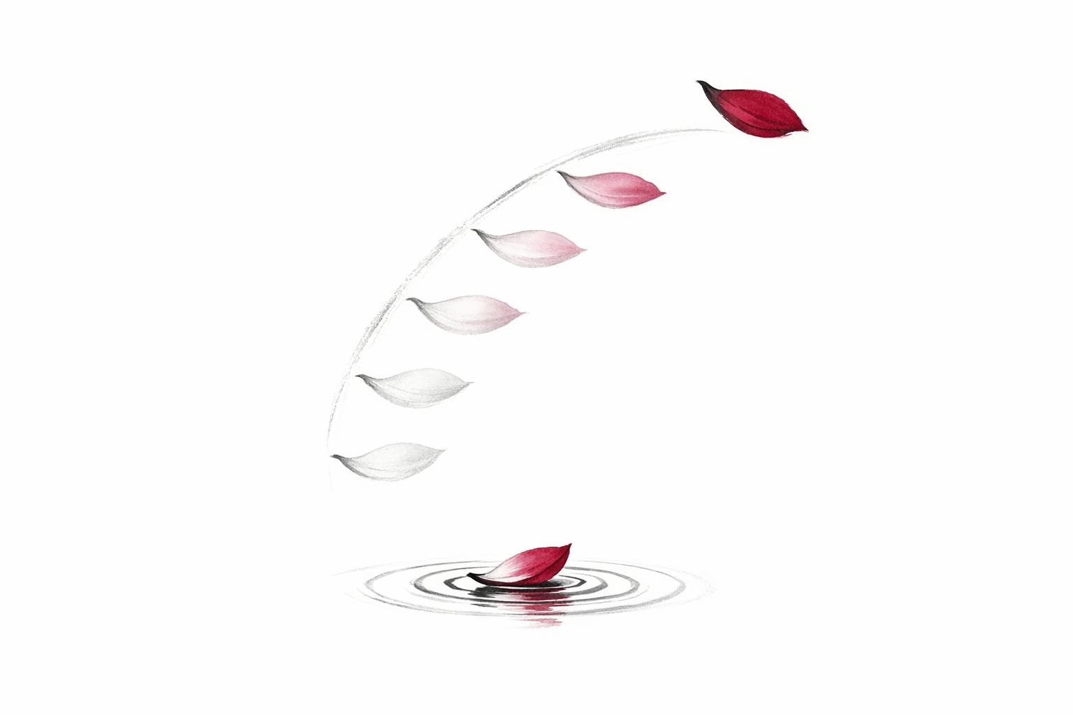 Top 7 Dhammapada Verses on Impermanence