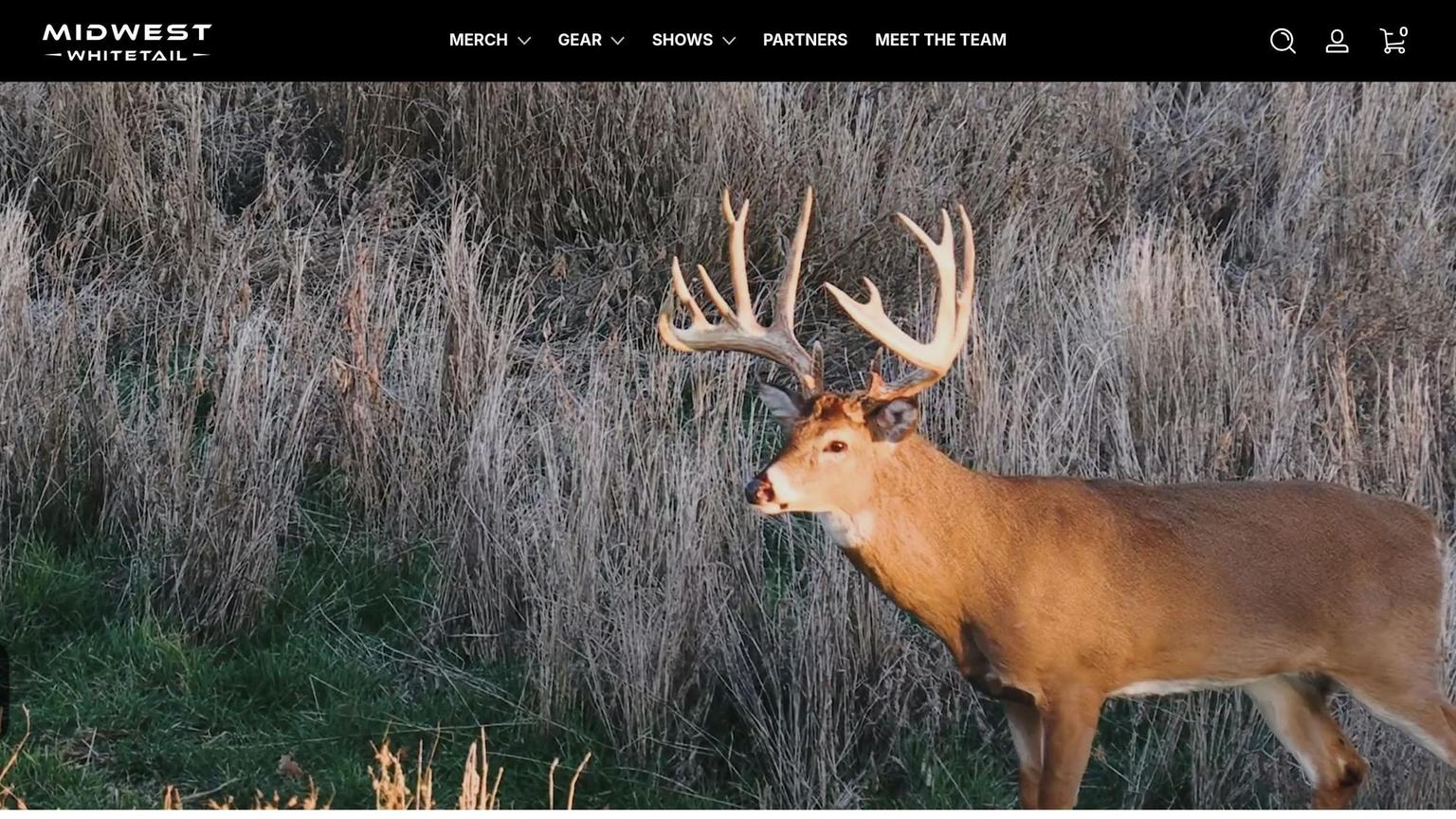 Midwest Whitetail